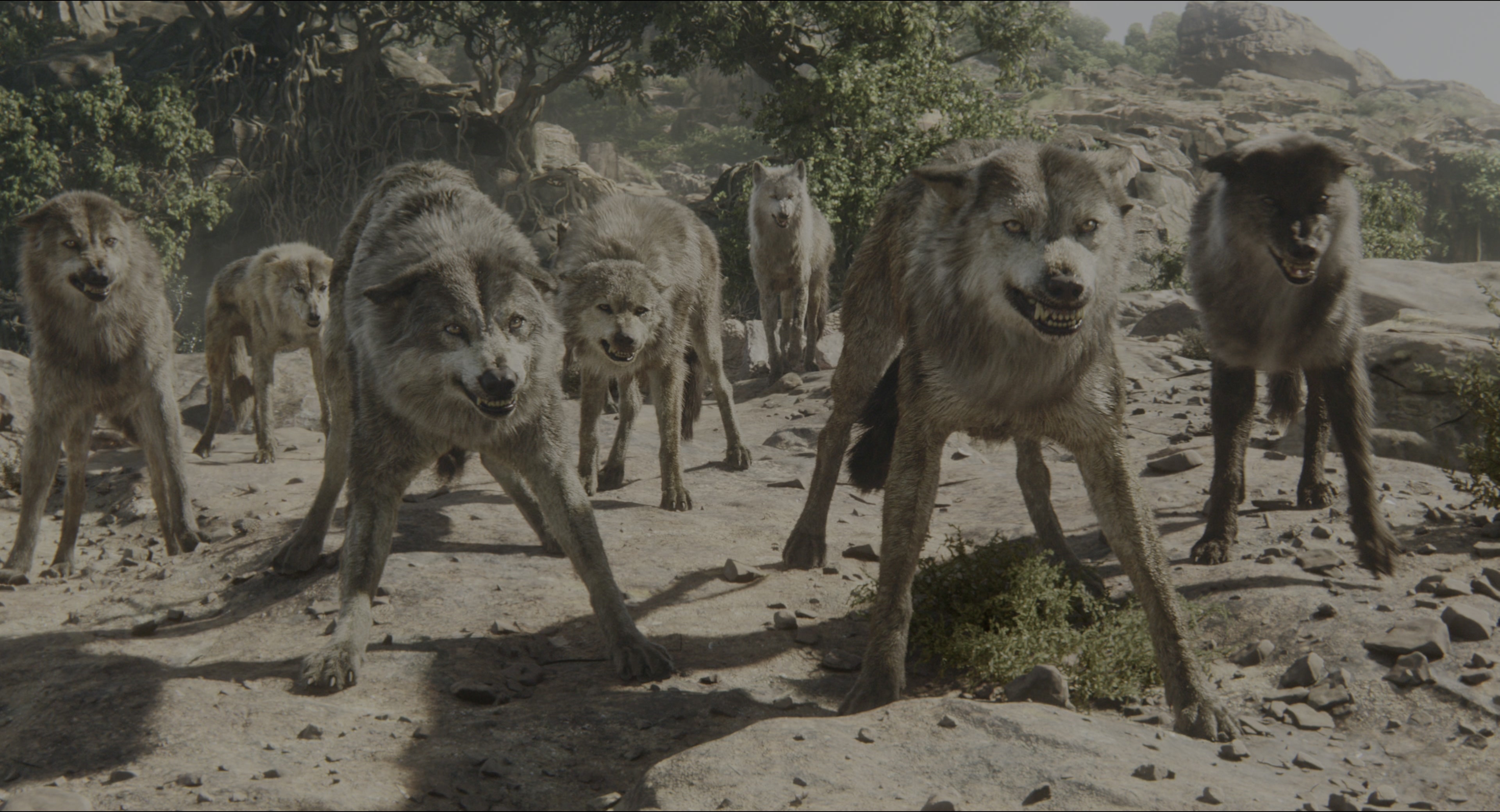The Jungle Book (2016), wide, 1.85:1 — film still