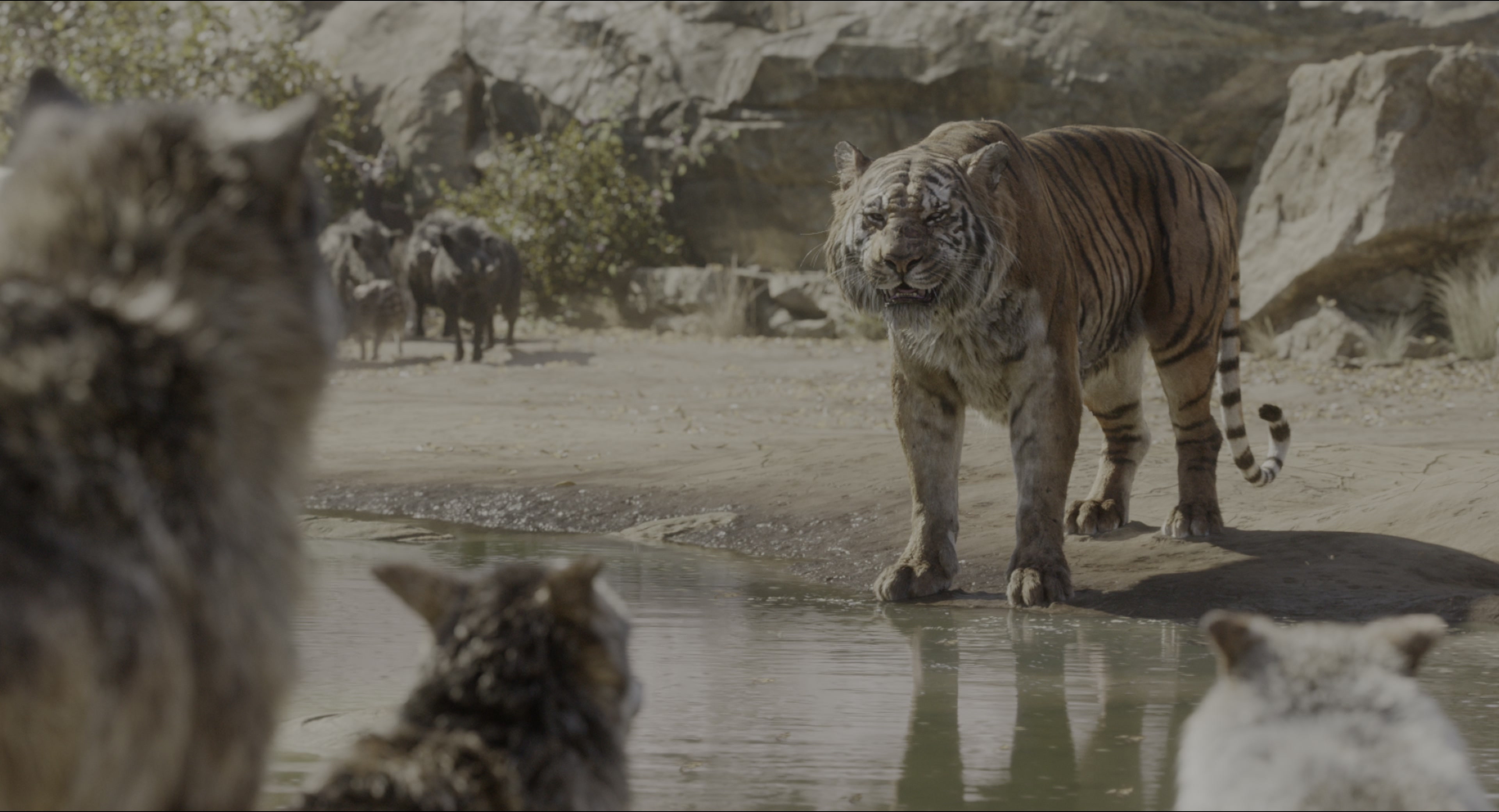The Jungle Book (2016), wide, 1.85:1 — film still