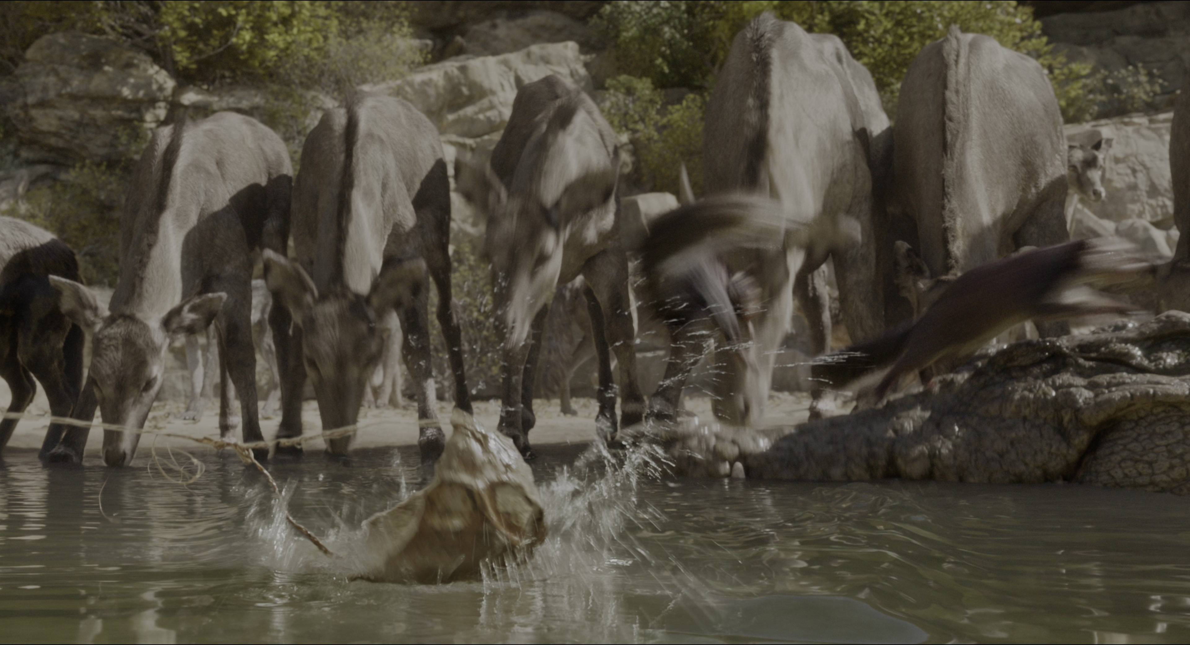 The Jungle Book (2016), wide, 1.85:1 — film still