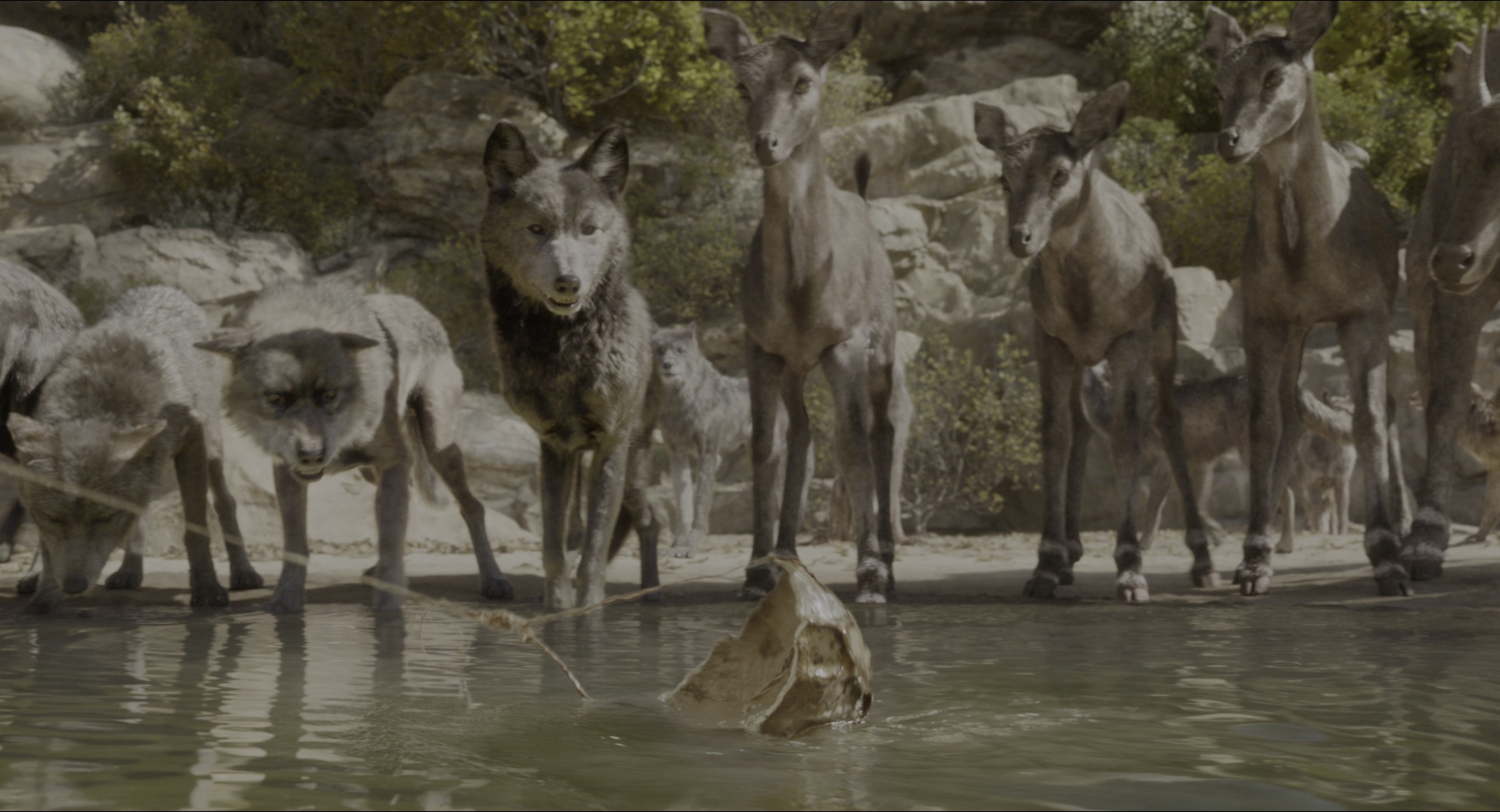The Jungle Book (2016), wide, 1.85:1 — film still
