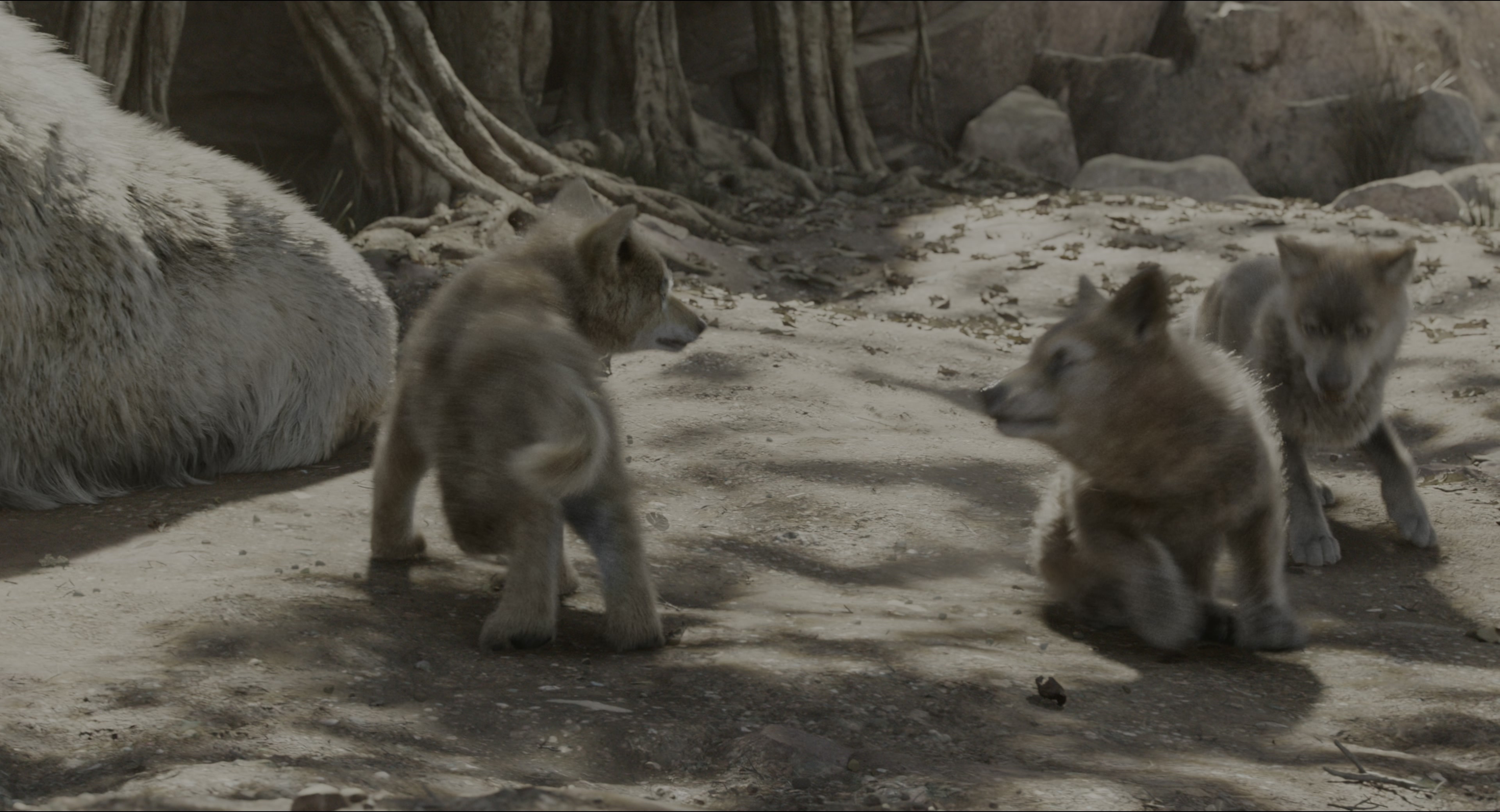 The Jungle Book (2016), wide, 1.85:1 — film still