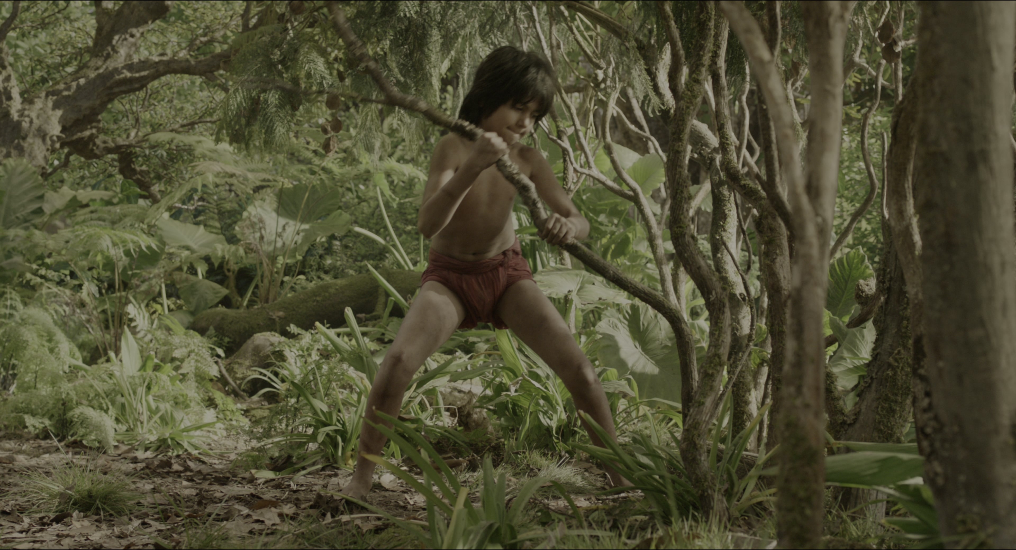 The Jungle Book (2016), wide, 1.85:1 — film still