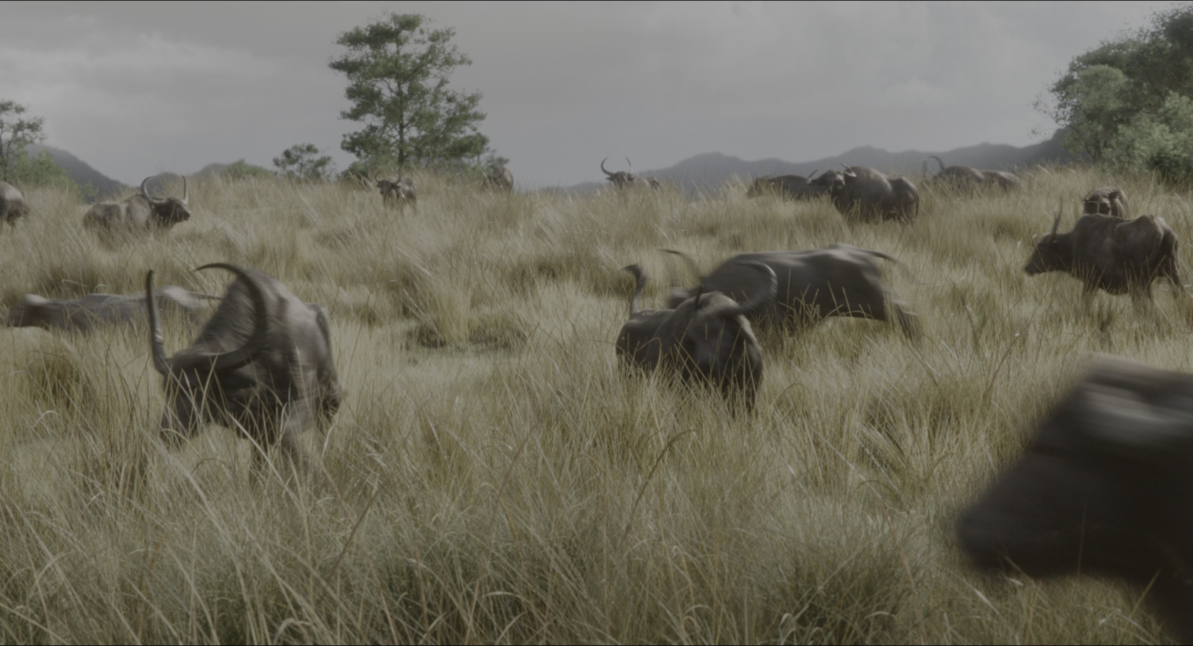 The Jungle Book (2016), wide, 1.85:1 — film still