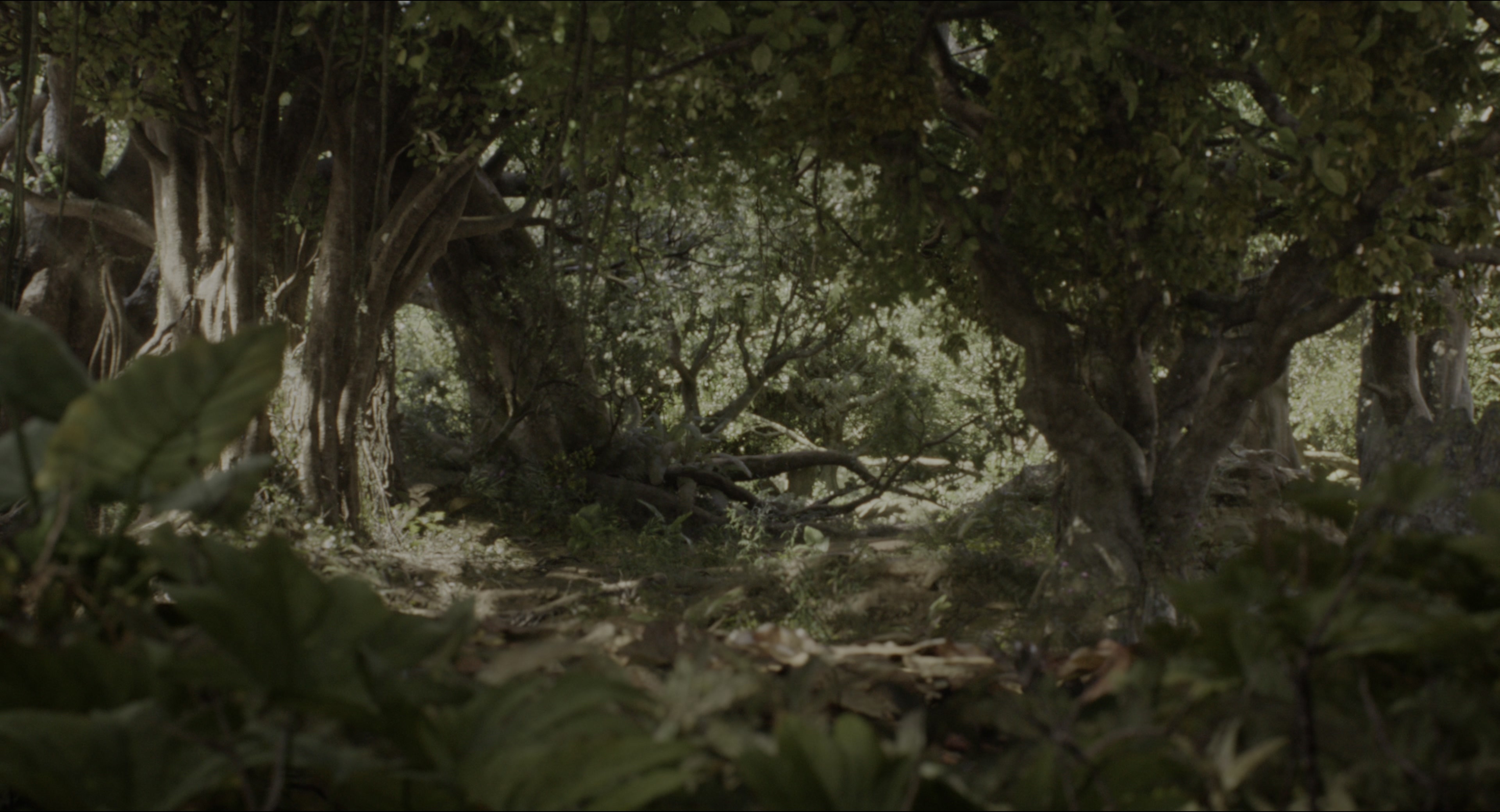The Jungle Book (2016), wide, 1.85:1 — film still
