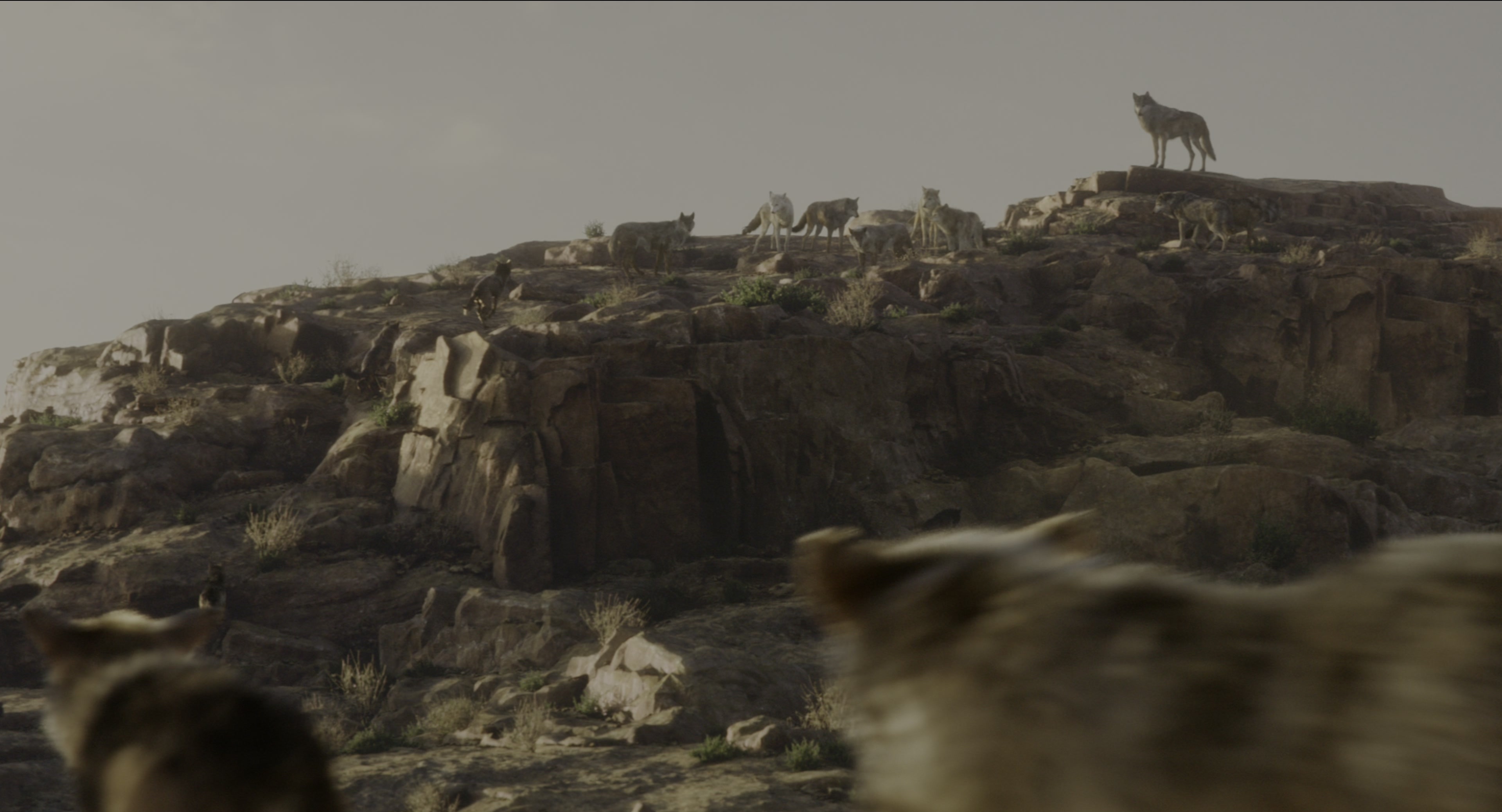 The Jungle Book (2016), wide, 1.85:1 — film still