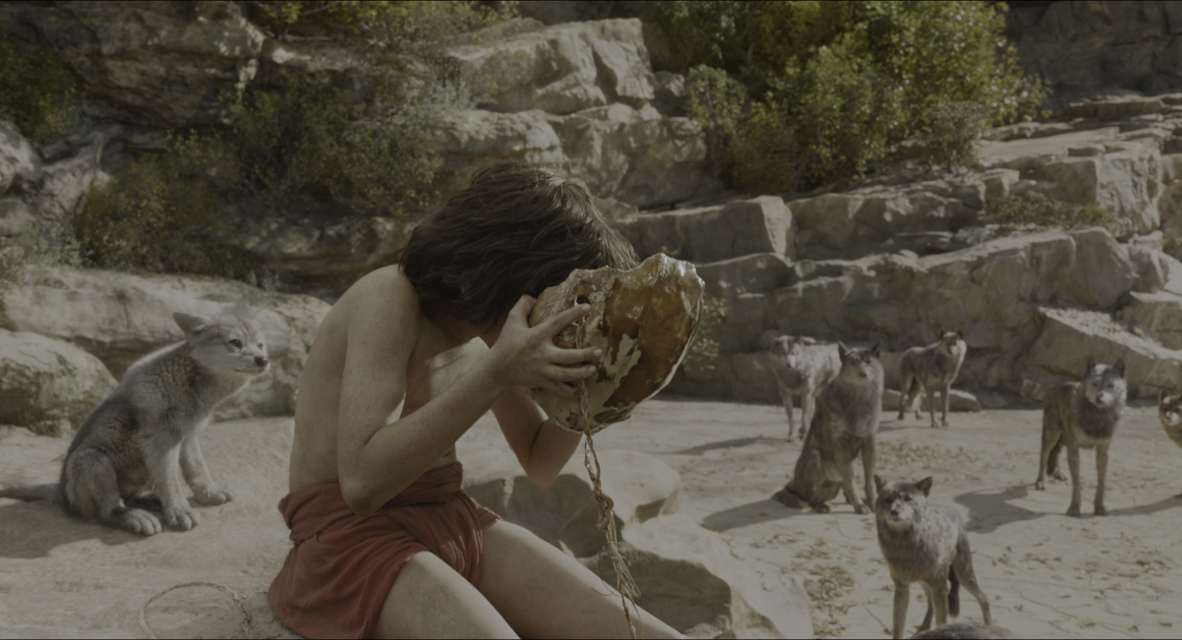 The Jungle Book (2016), wide, 1.85:1 — film still