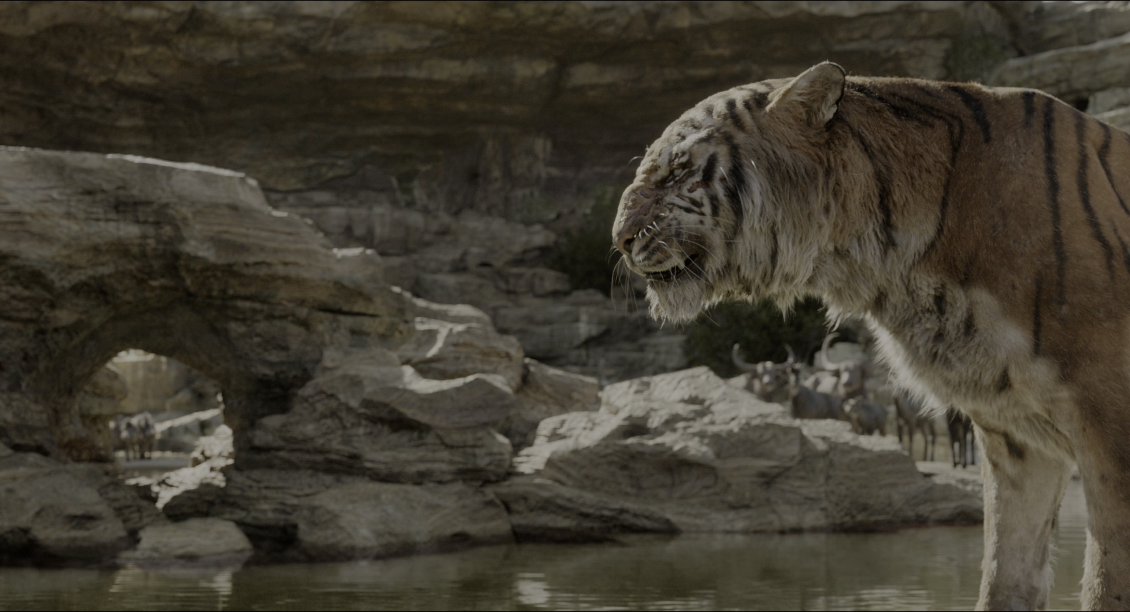 The Jungle Book (2016), wide, 1.85:1 — film still