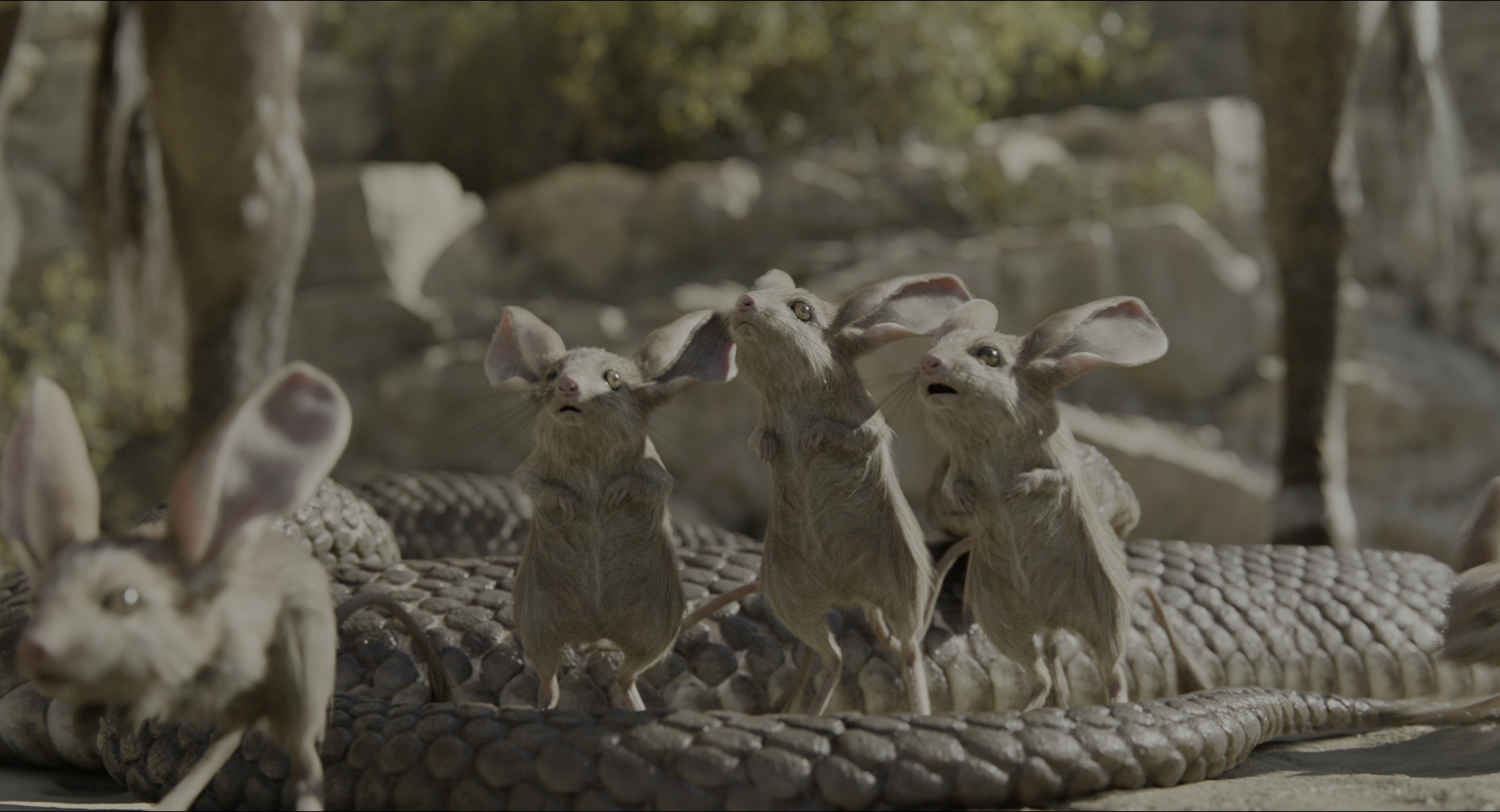 The Jungle Book (2016), wide, 1.85:1 — film still