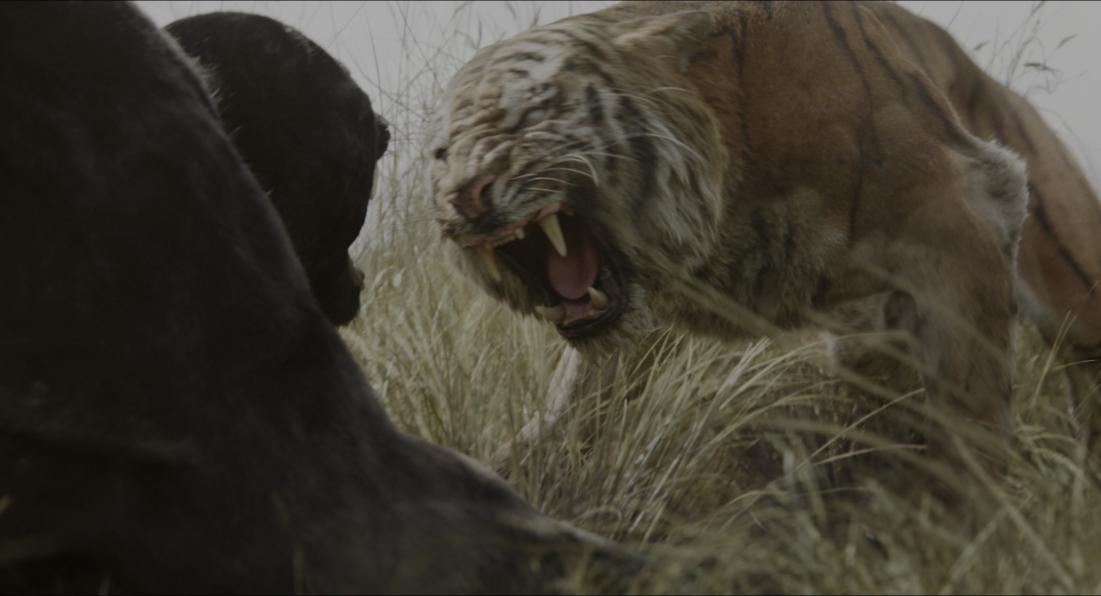 The Jungle Book (2016), wide, 1.85:1 — film still