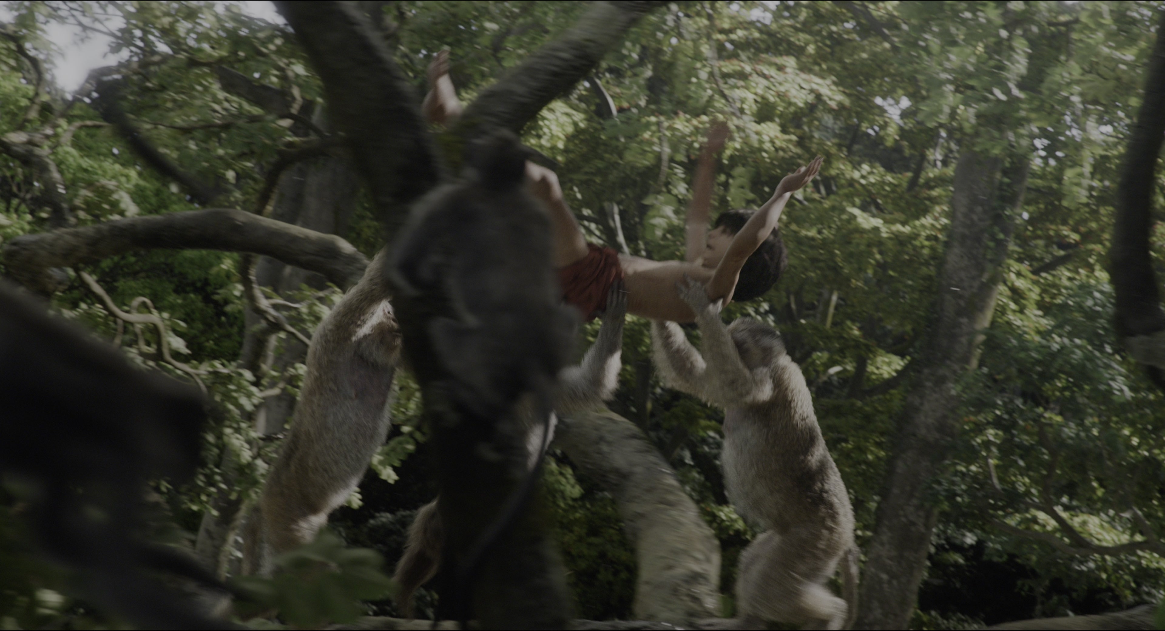 The Jungle Book (2016), wide, 1.85:1 — film still