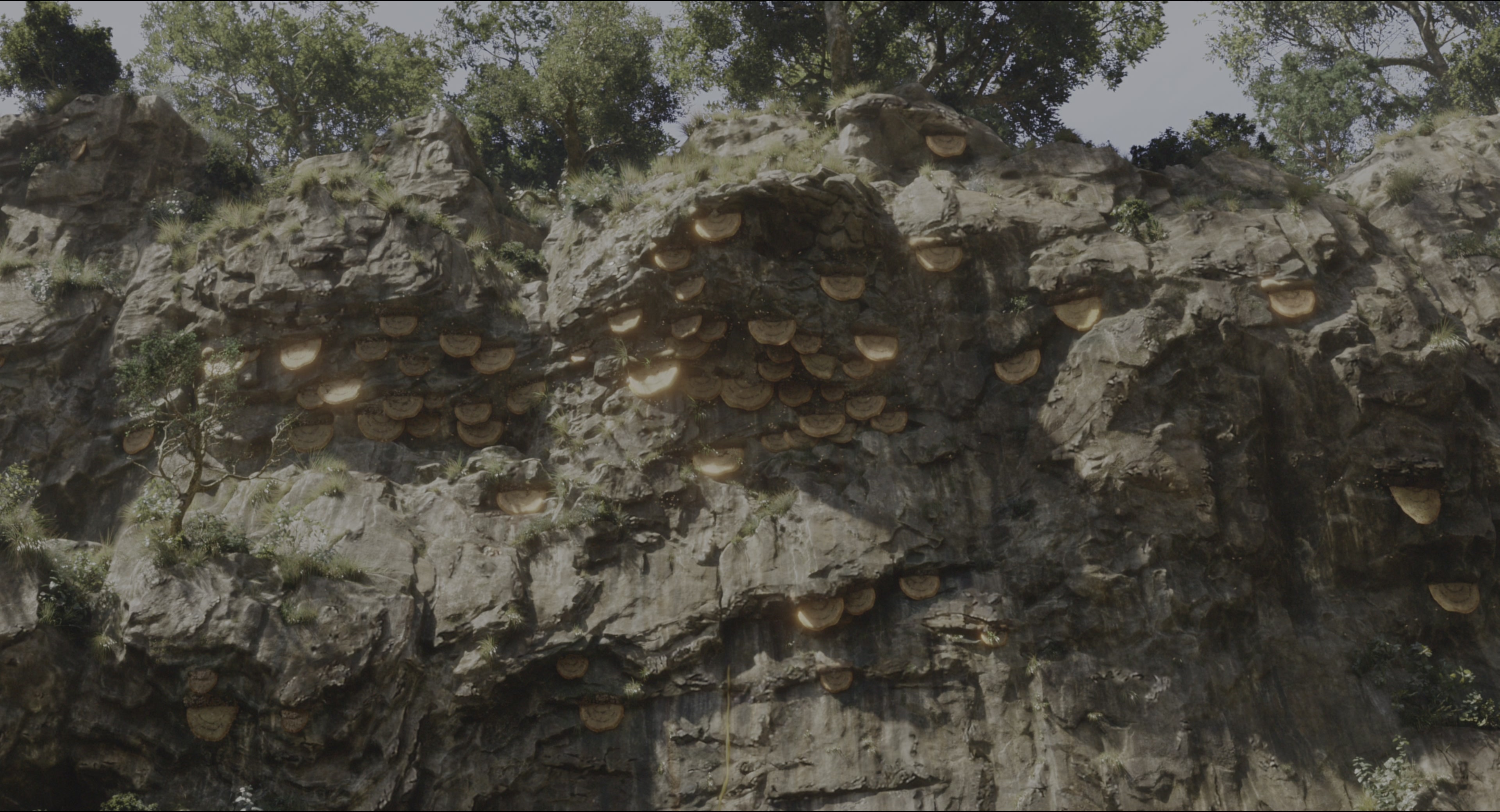The Jungle Book (2016), wide, 1.85:1 — film still