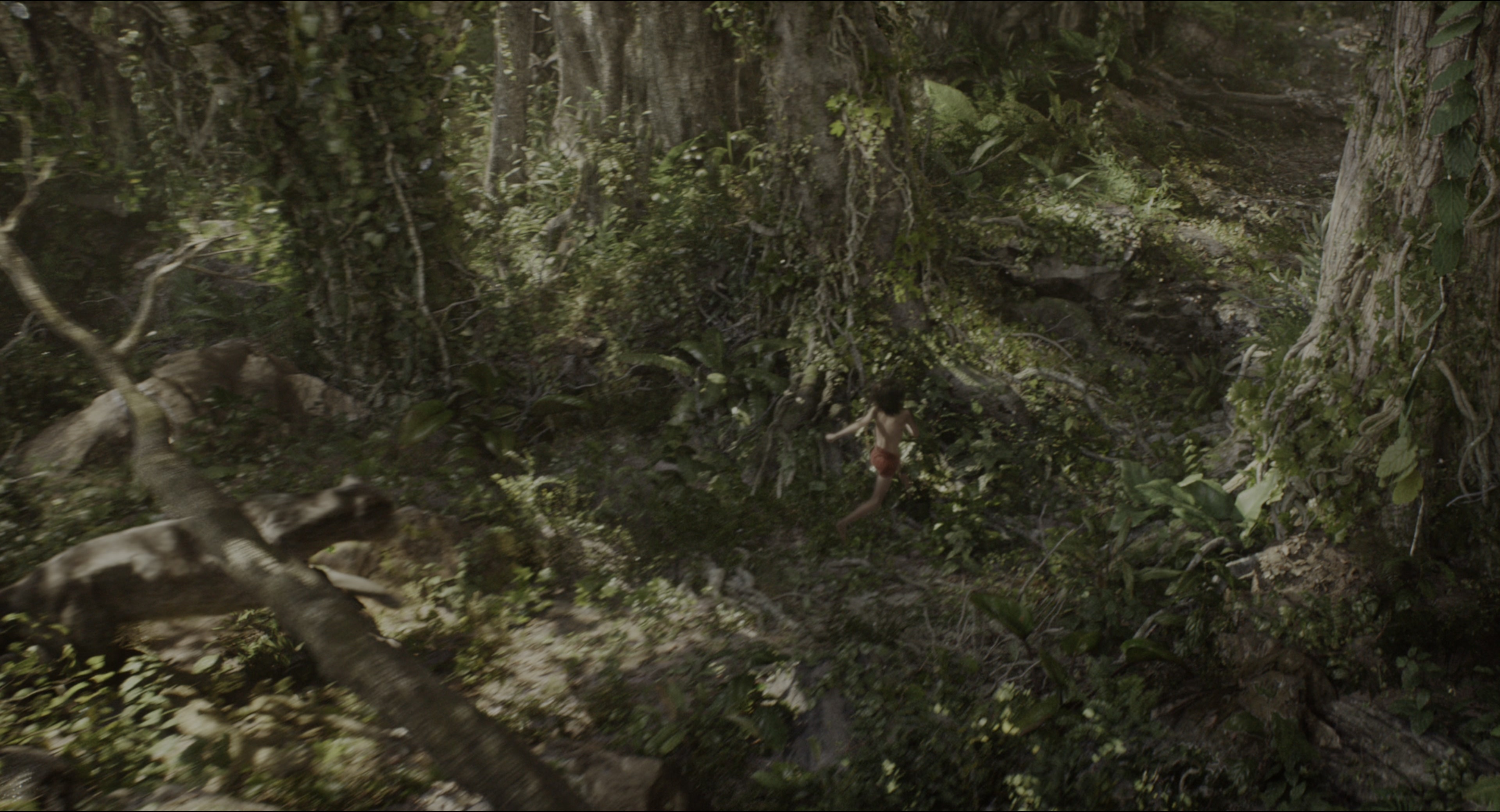 The Jungle Book (2016), wide, 1.85:1 — film still