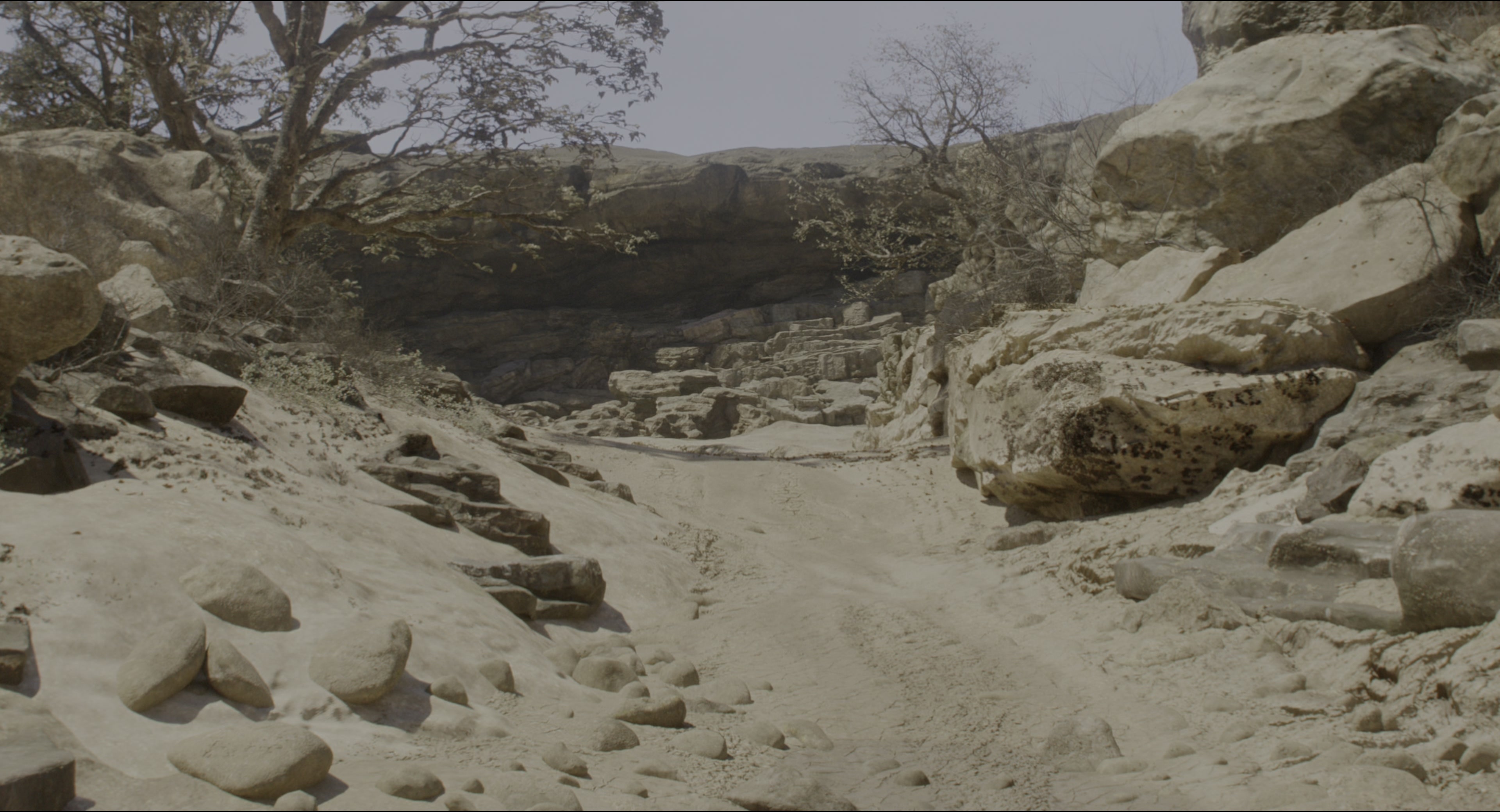 The Jungle Book (2016), wide, 1.85:1 — film still
