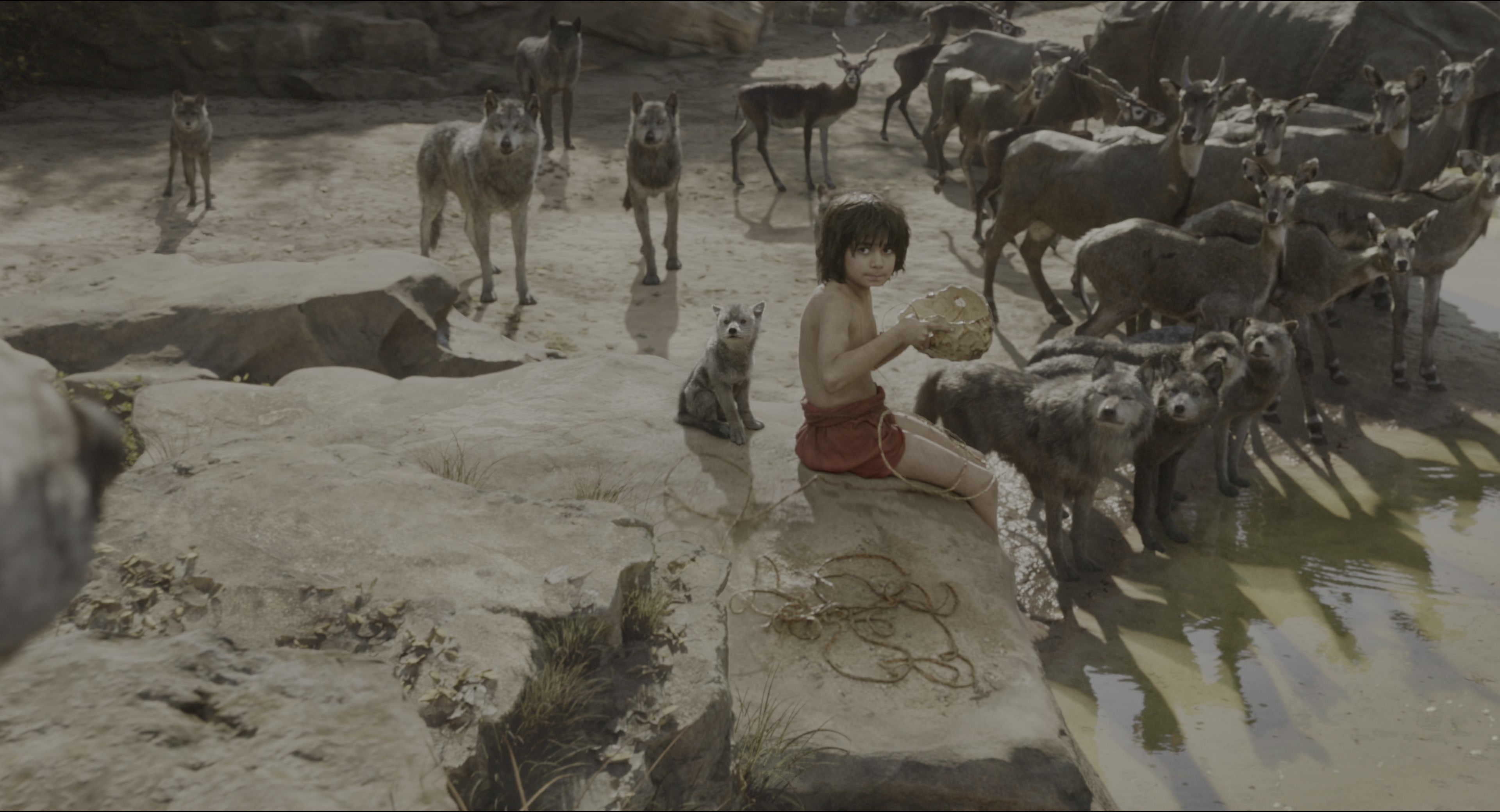 The Jungle Book (2016), wide, 1.85:1 — film still