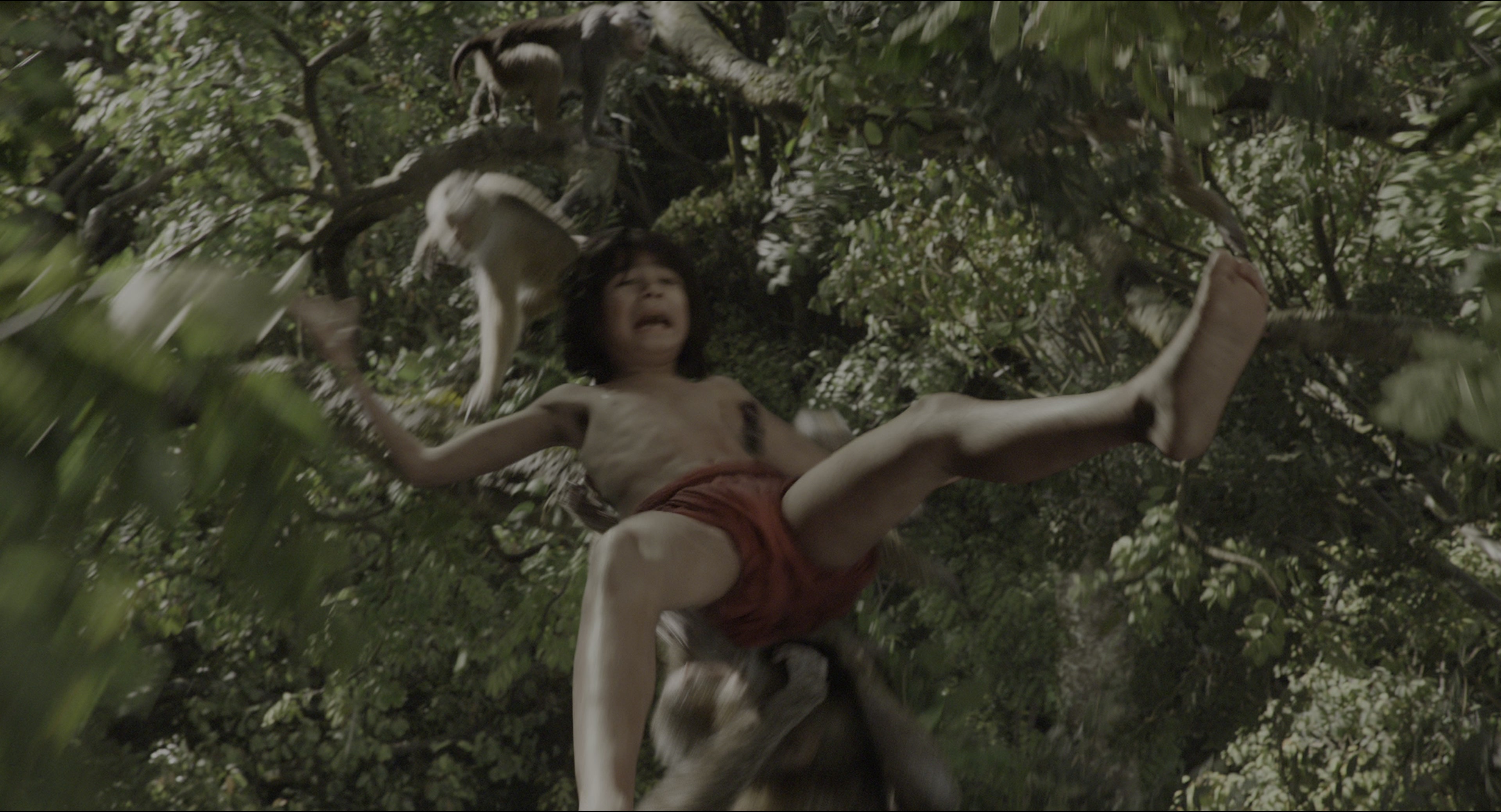 The Jungle Book (2016), wide, 1.85:1 — film still
