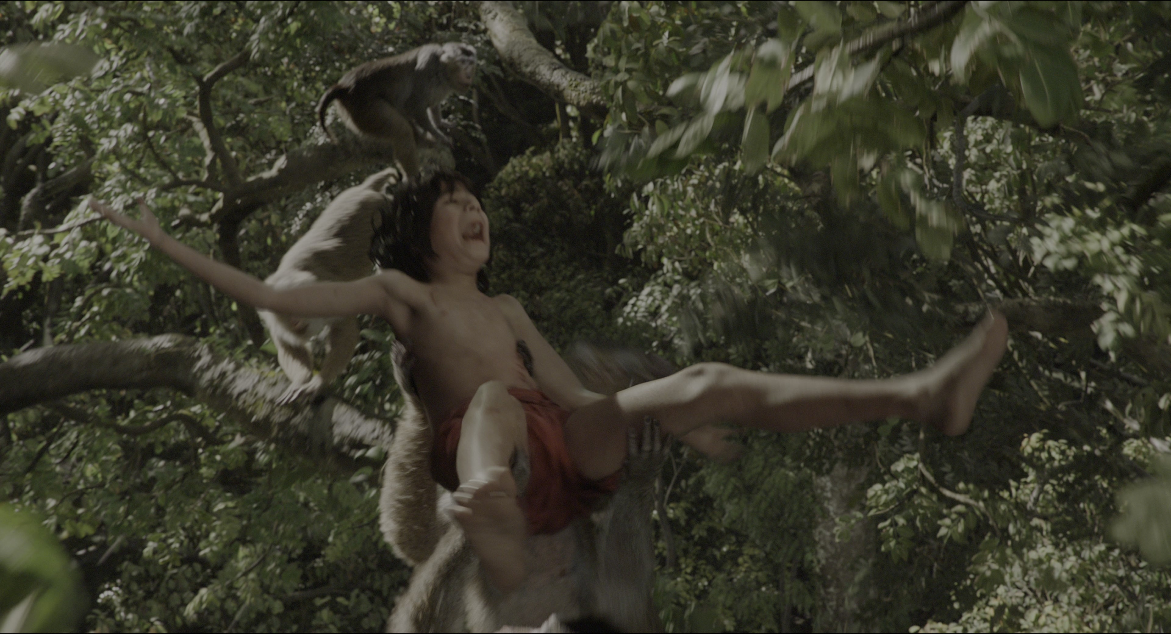 The Jungle Book (2016), wide, 1.85:1 — film still