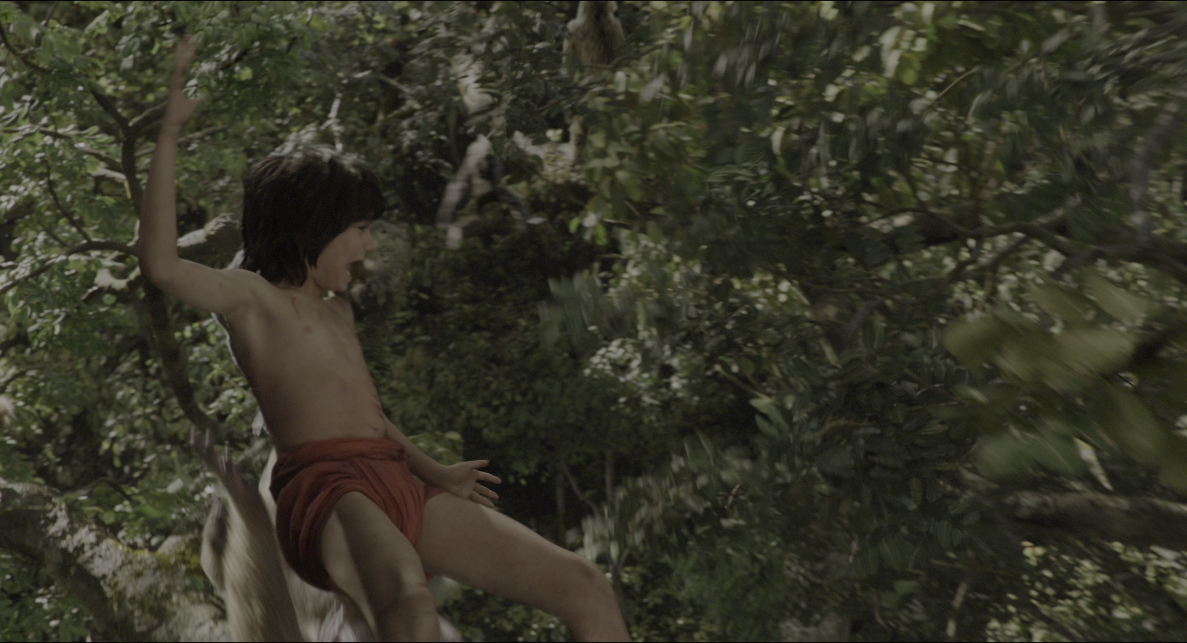 The Jungle Book (2016), wide, 1.85:1 — film still