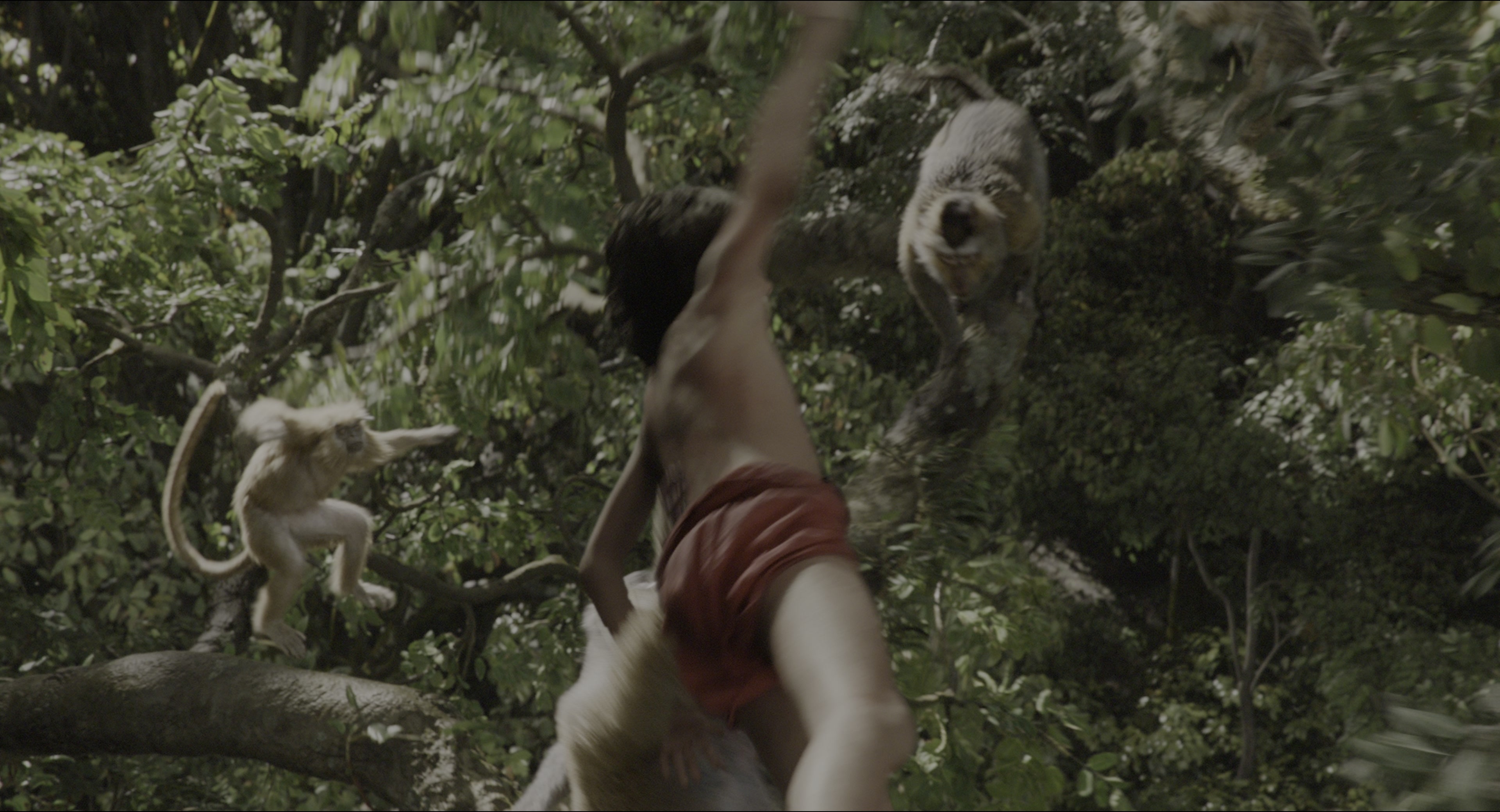 The Jungle Book (2016), wide, 1.85:1 — film still