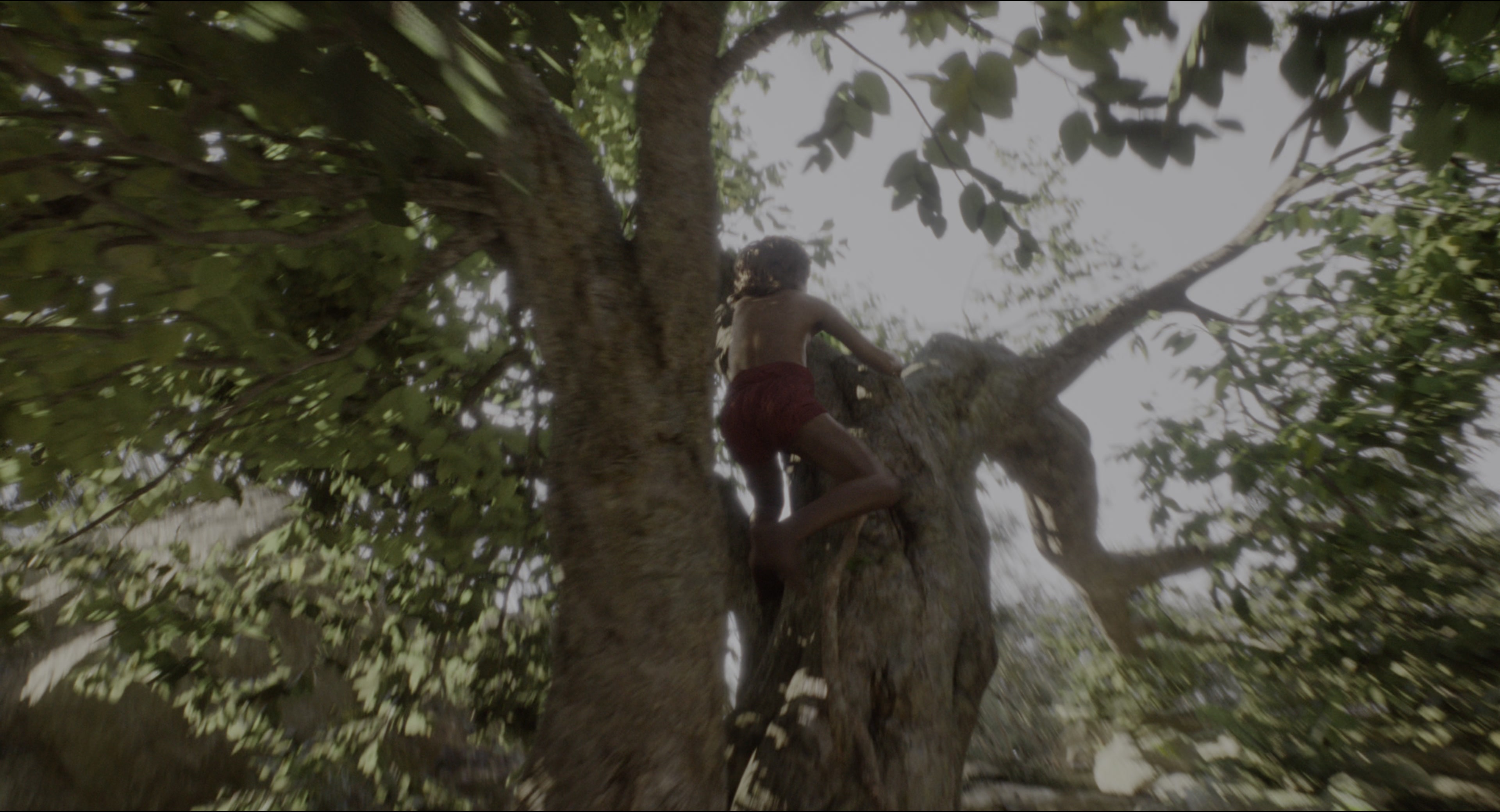 The Jungle Book (2016), wide, 1.85:1 — film still
