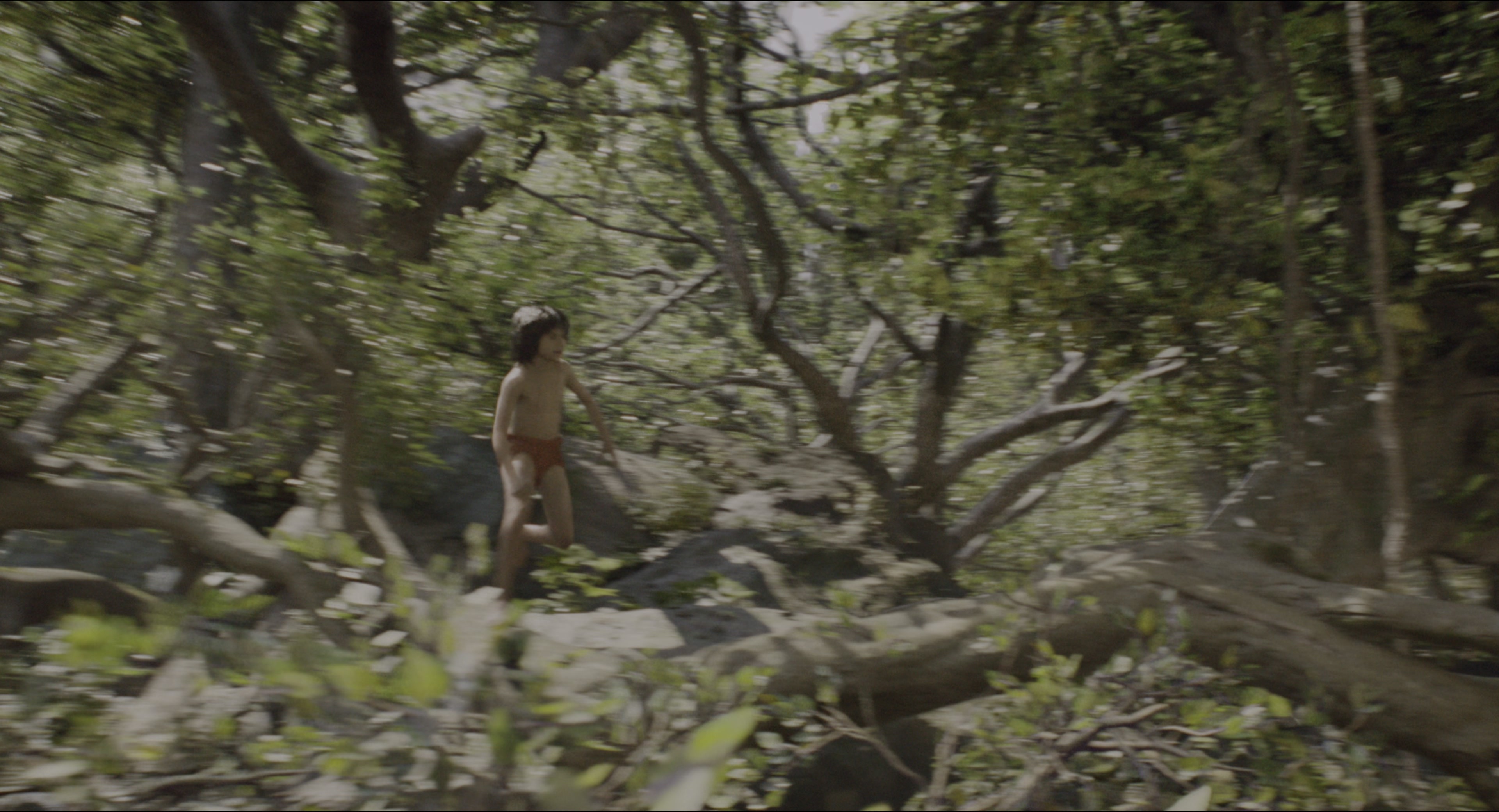 The Jungle Book (2016), wide, 1.85:1 — film still