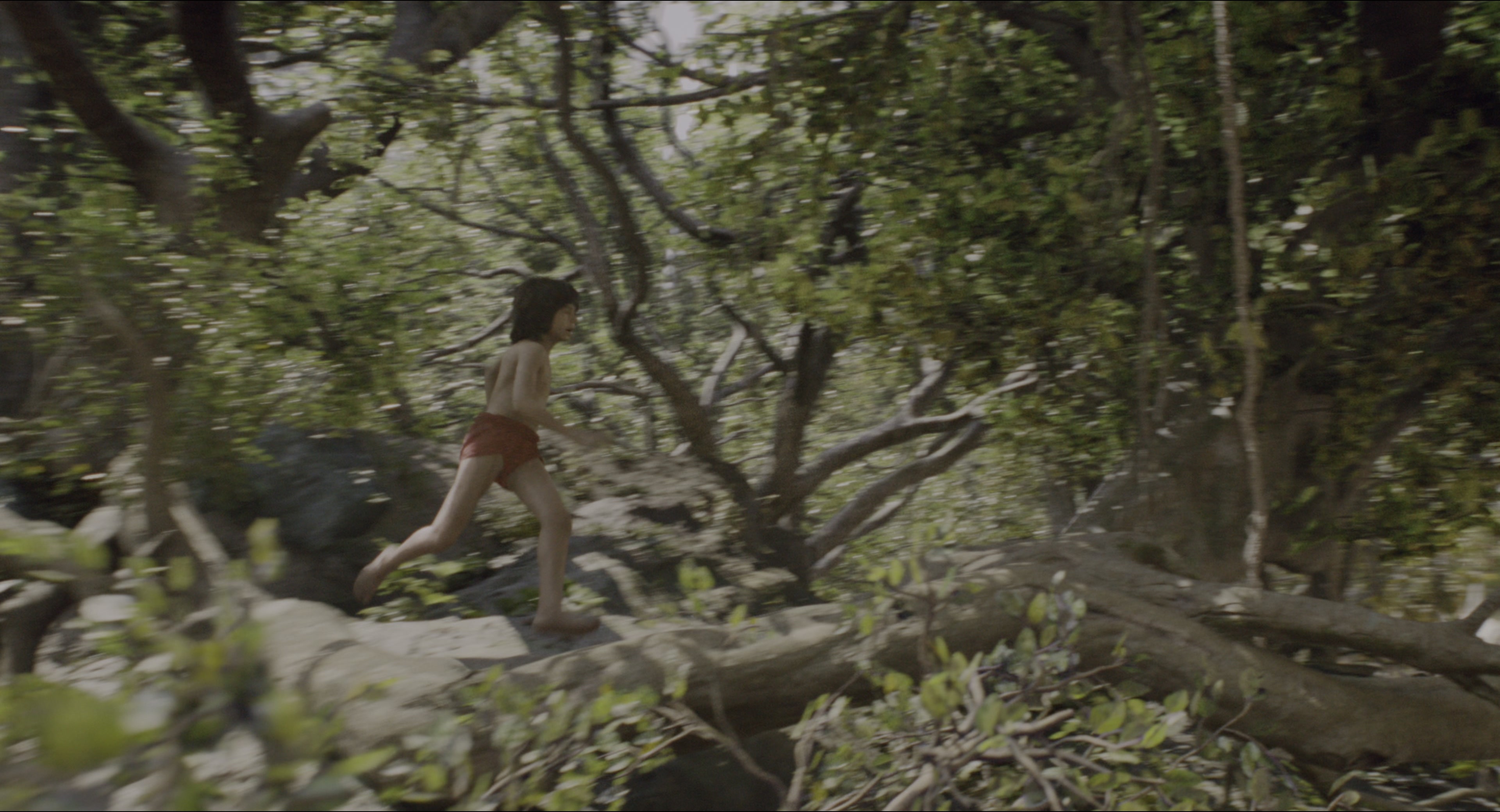 The Jungle Book (2016), wide, 1.85:1 — film still