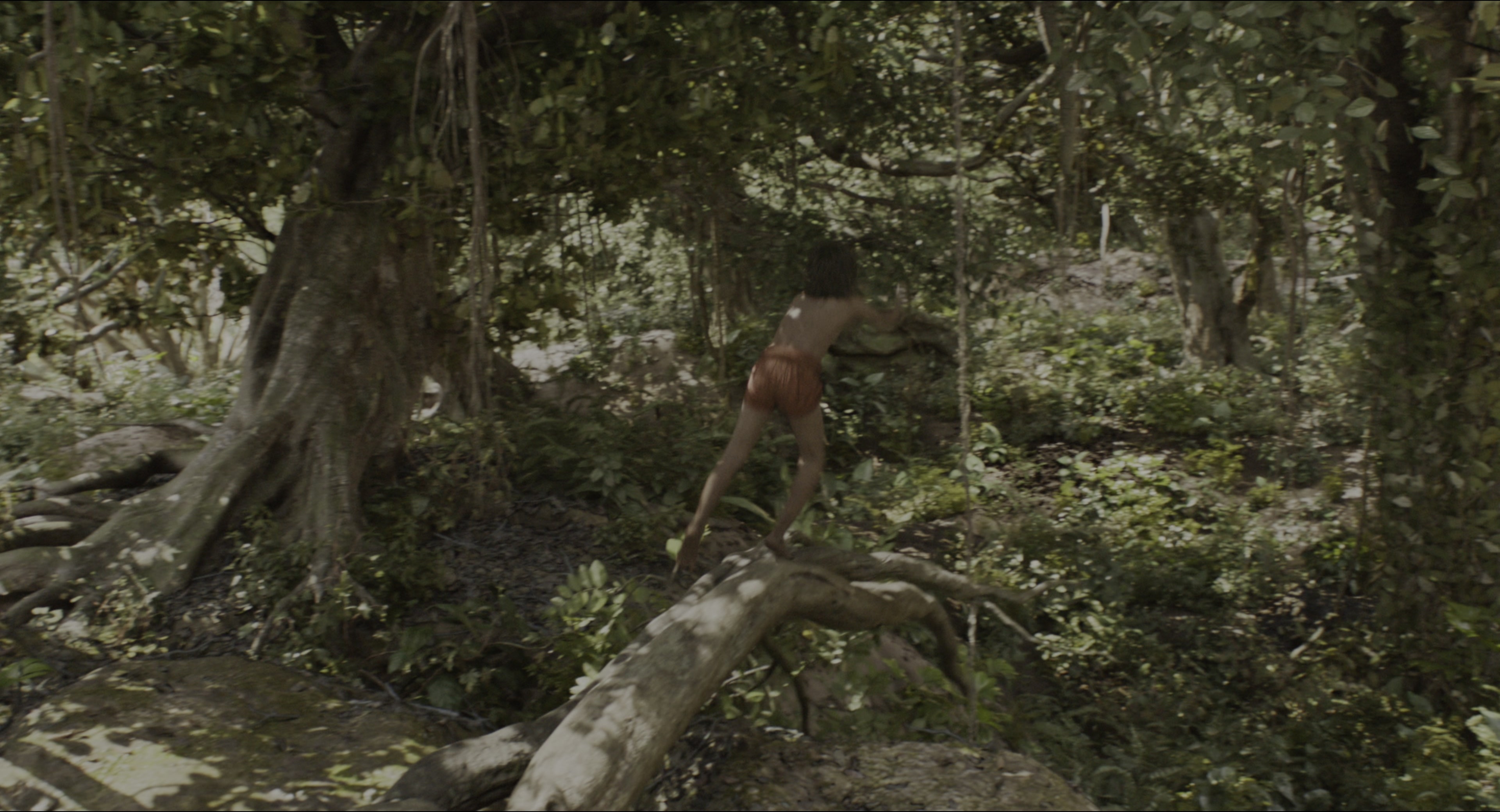 The Jungle Book (2016), wide, 1.85:1 — film still