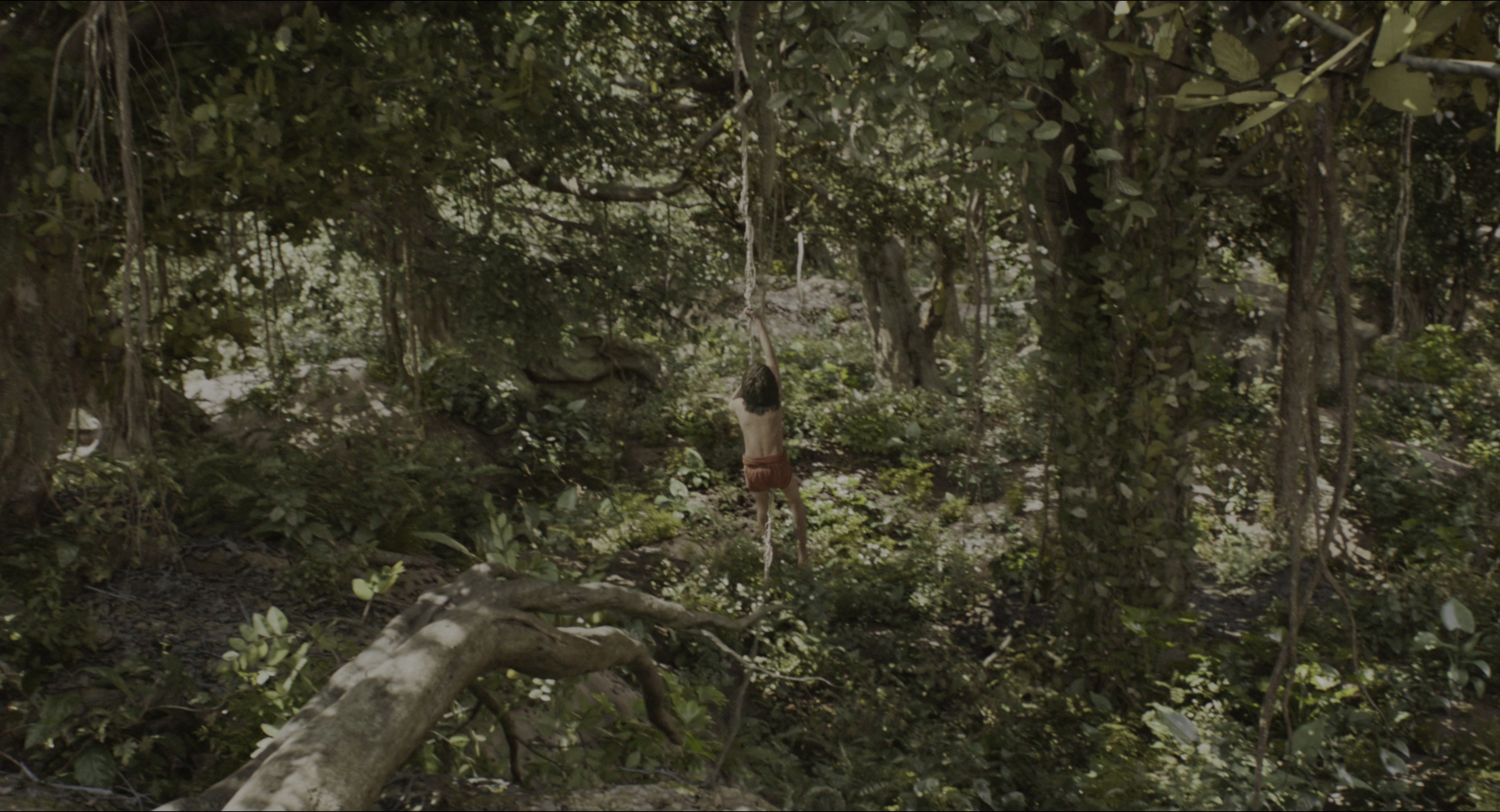 The Jungle Book (2016), wide, 1.85:1 — film still