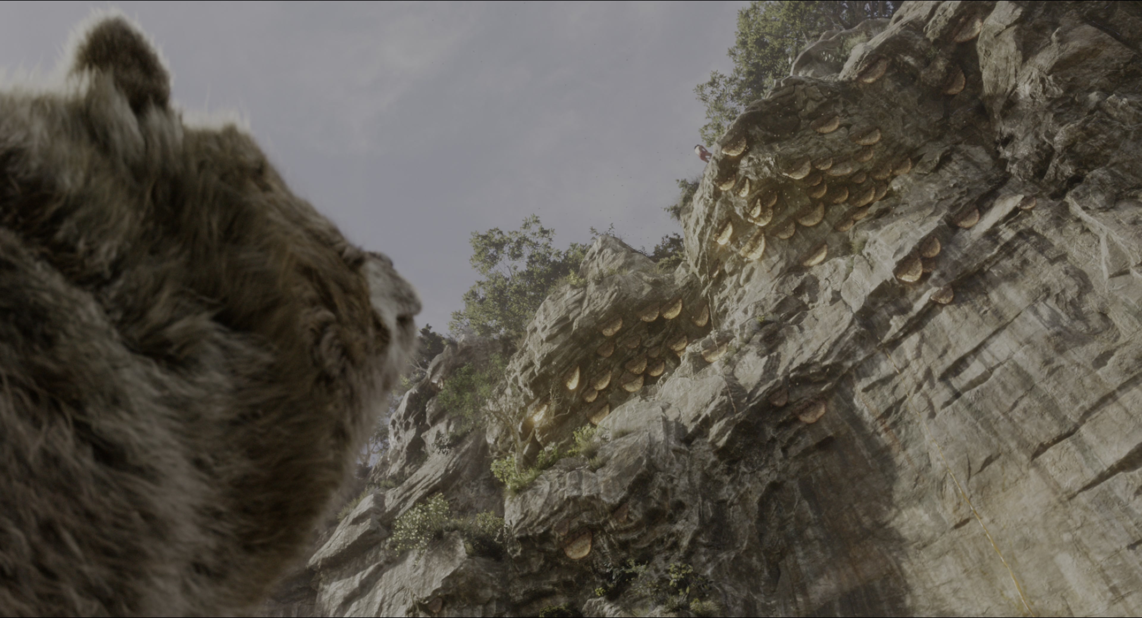 The Jungle Book (2016), wide, 1.85:1 — film still