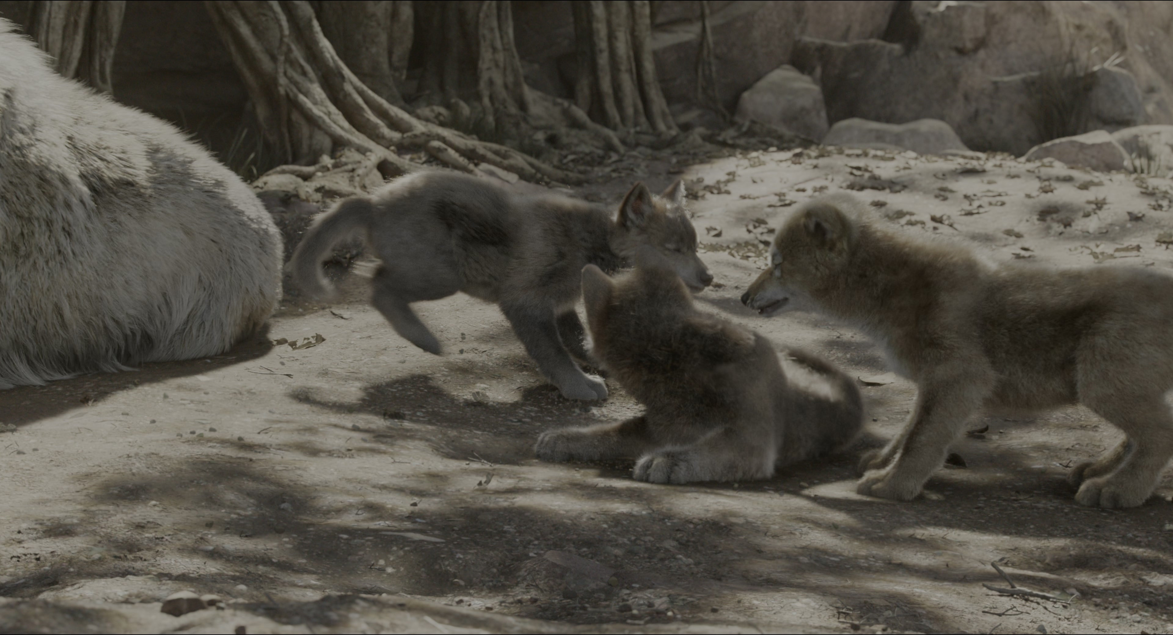 The Jungle Book (2016), wide, 1.85:1 — film still