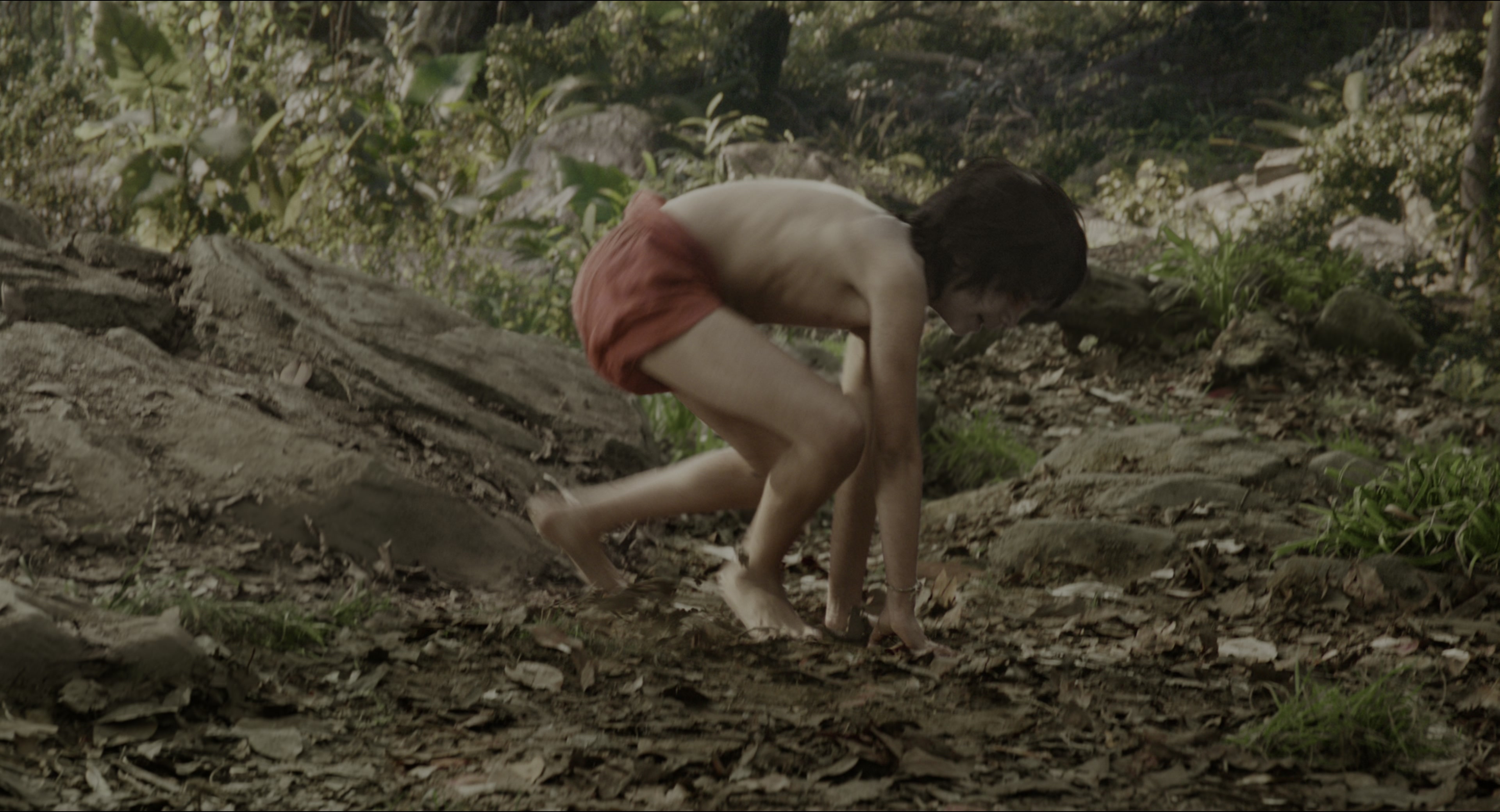 The Jungle Book (2016), wide, 1.85:1 — film still