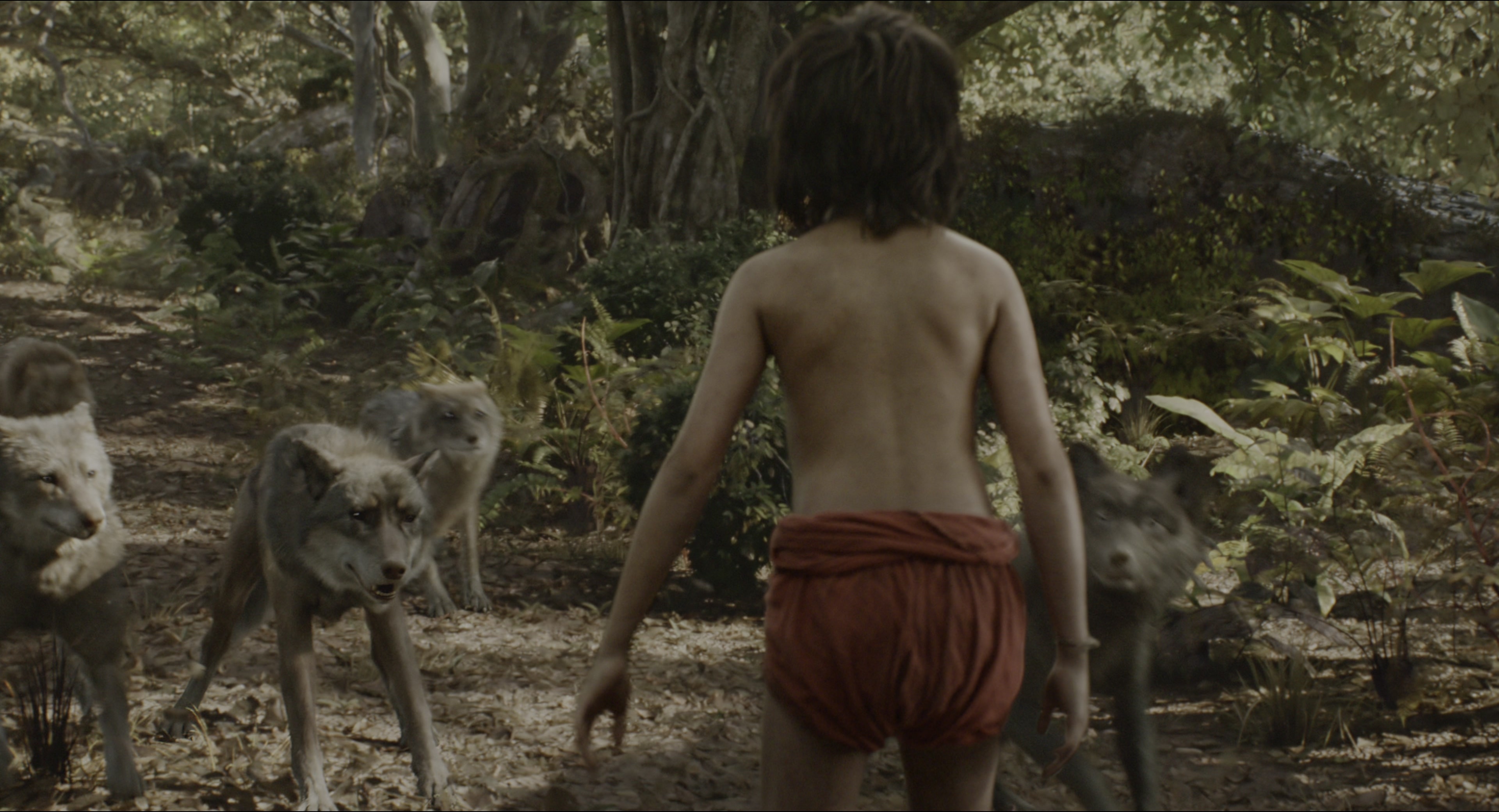 The Jungle Book (2016), wide, 1.85:1 — film still