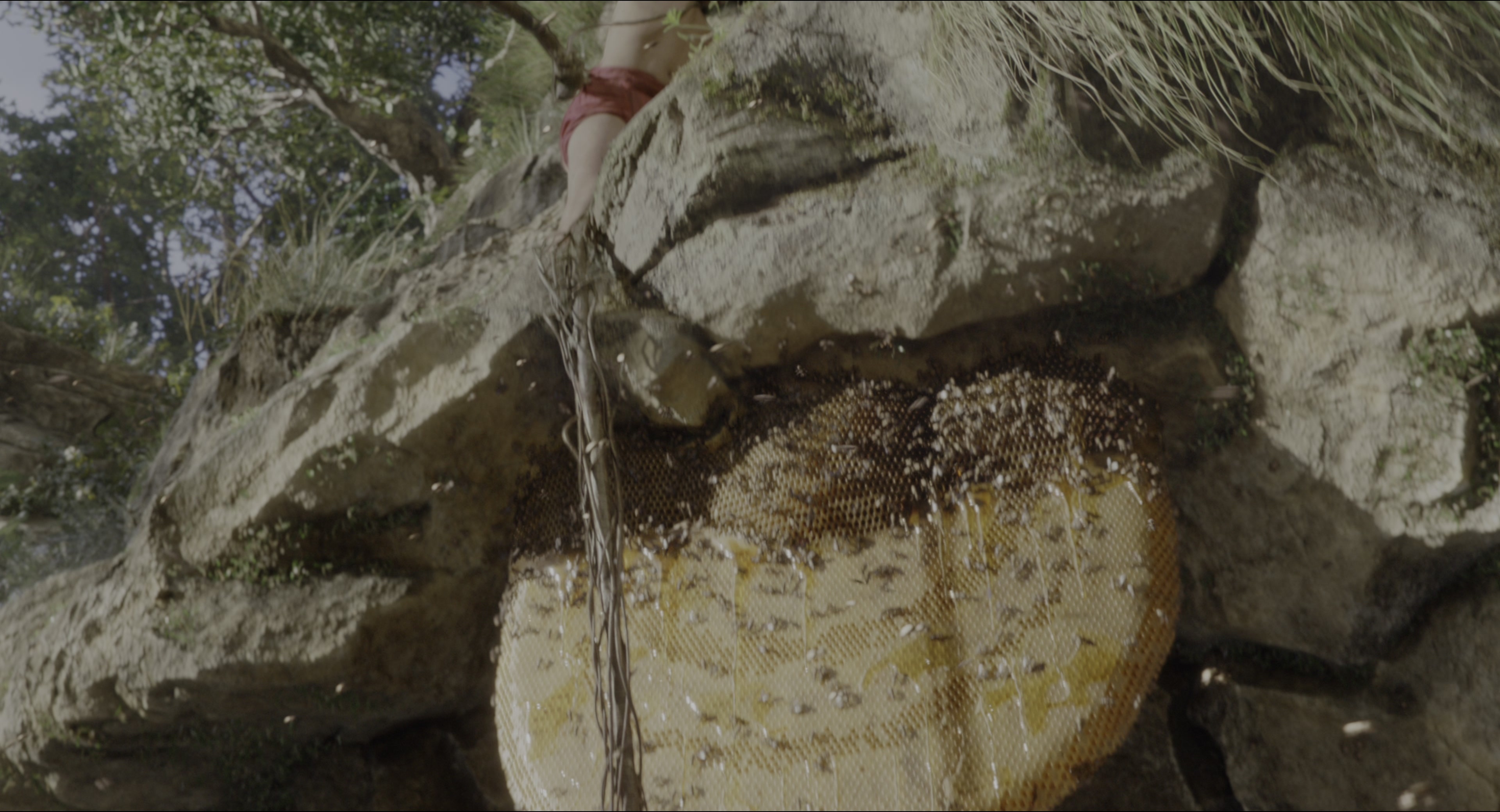 The Jungle Book (2016), wide, 1.85:1 — film still