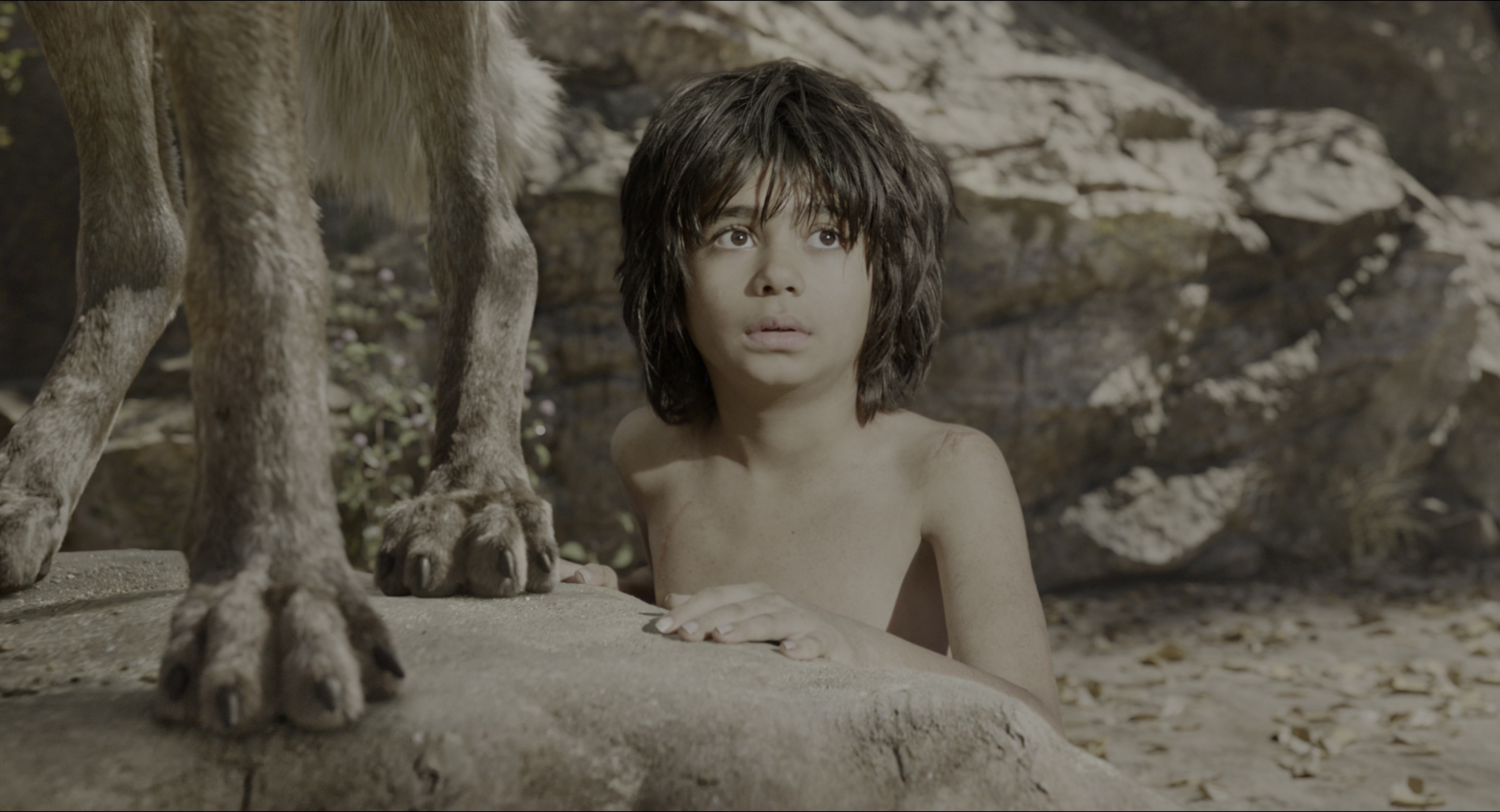 The Jungle Book (2016), wide, 1.85:1 — film still