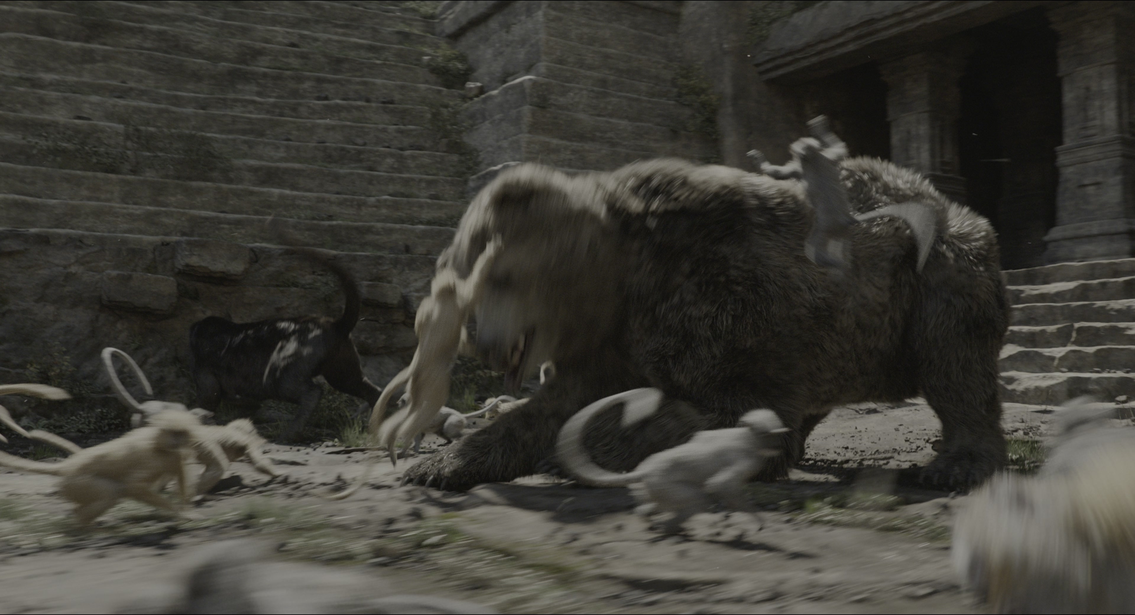 The Jungle Book (2016), unknown, 1.85:1 — film still