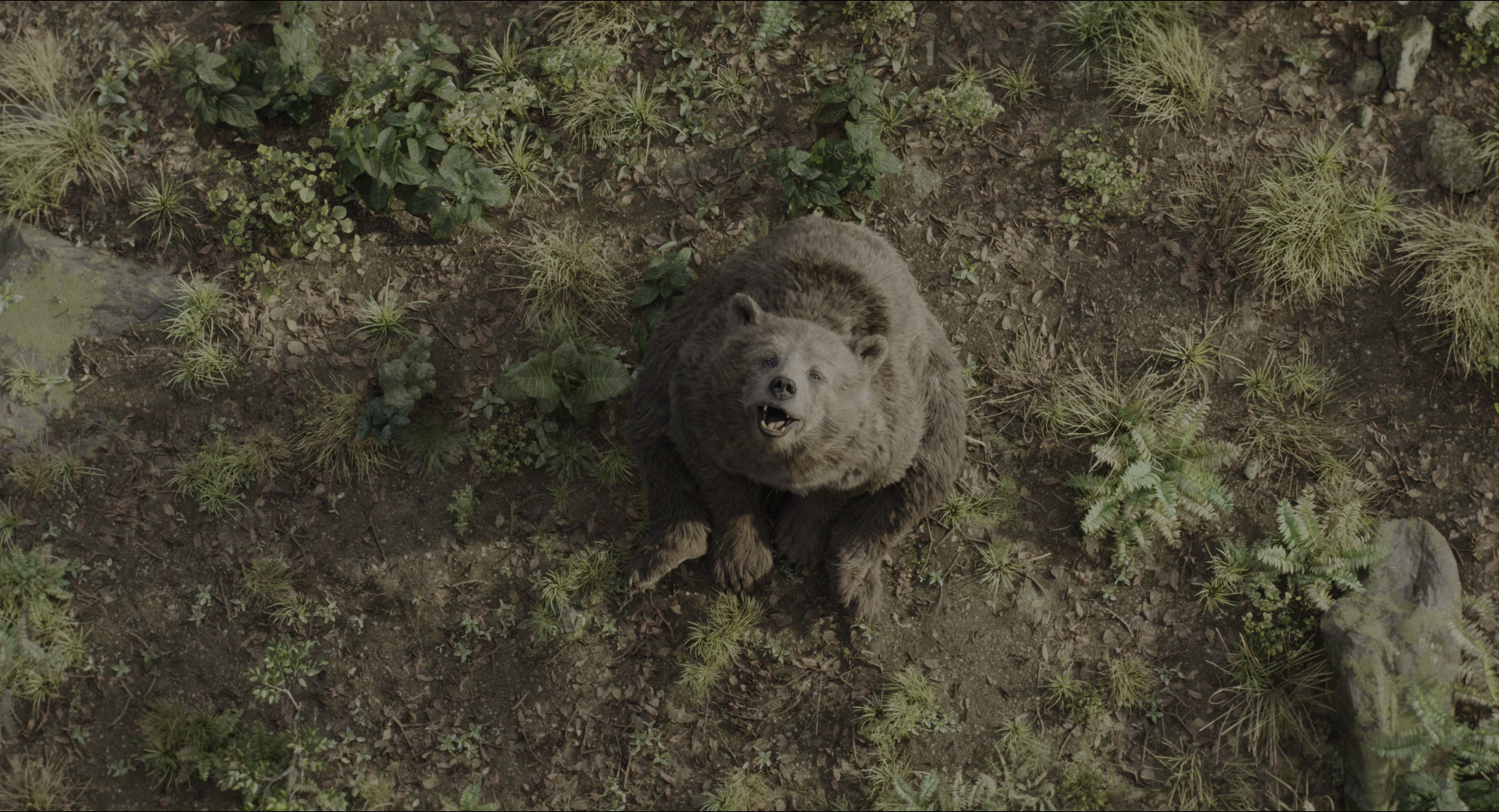 The Jungle Book (2016), wide, 1.85:1 — film still