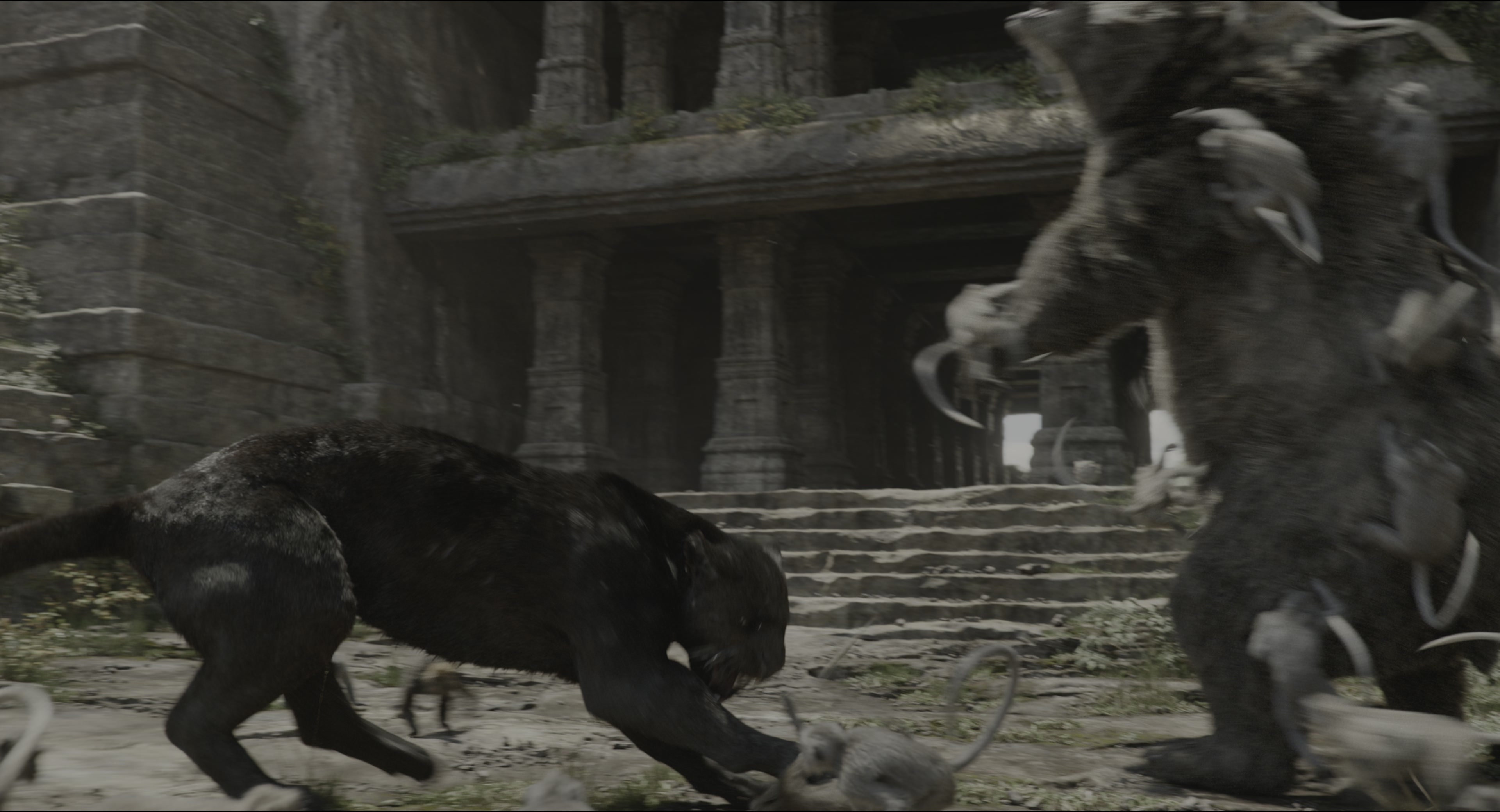 The Jungle Book (2016), wide, 1.85:1 — film still