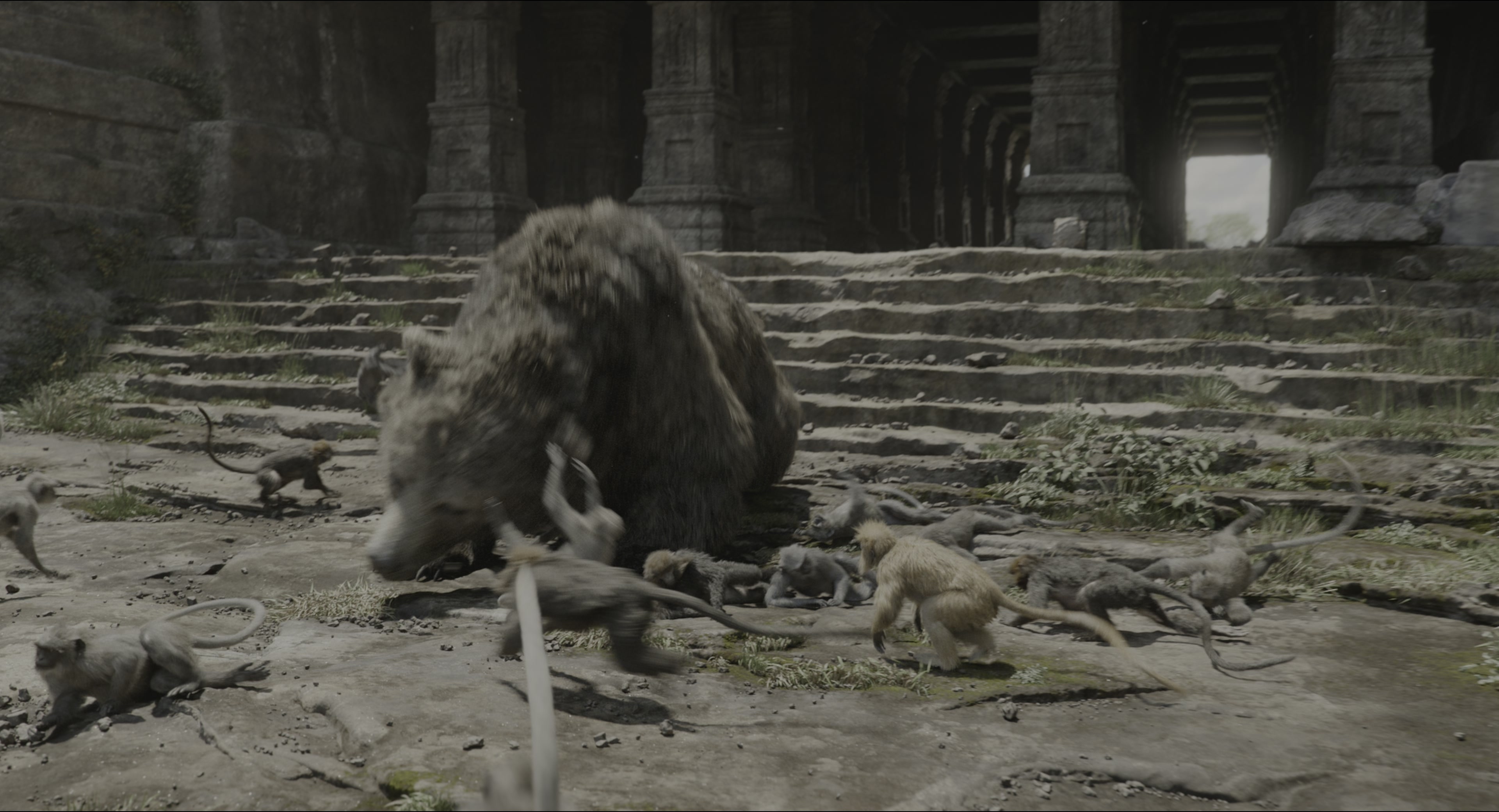 The Jungle Book (2016), wide, 1.85:1 — film still