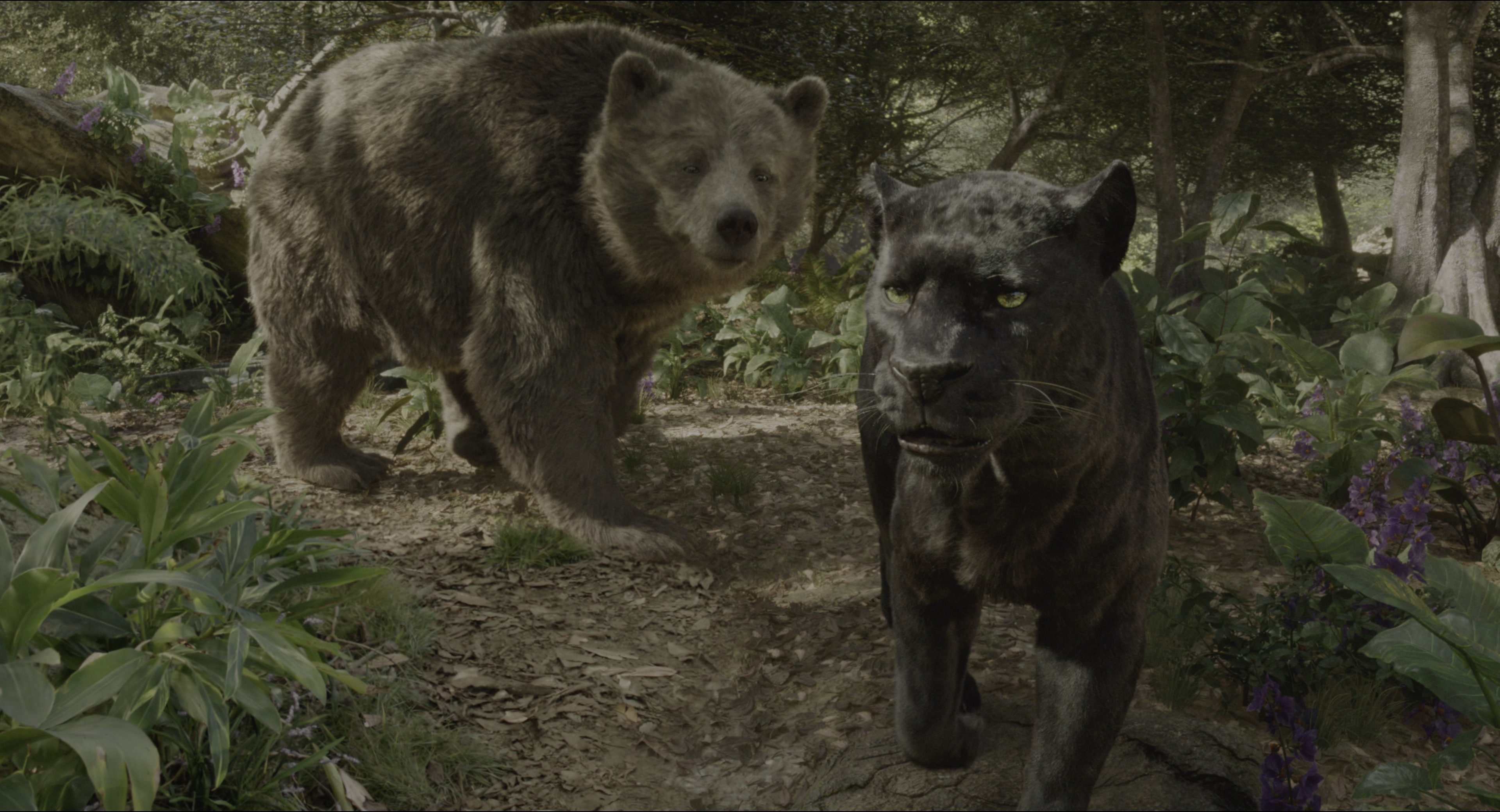 The Jungle Book (2016), wide, 1.85:1 — film still