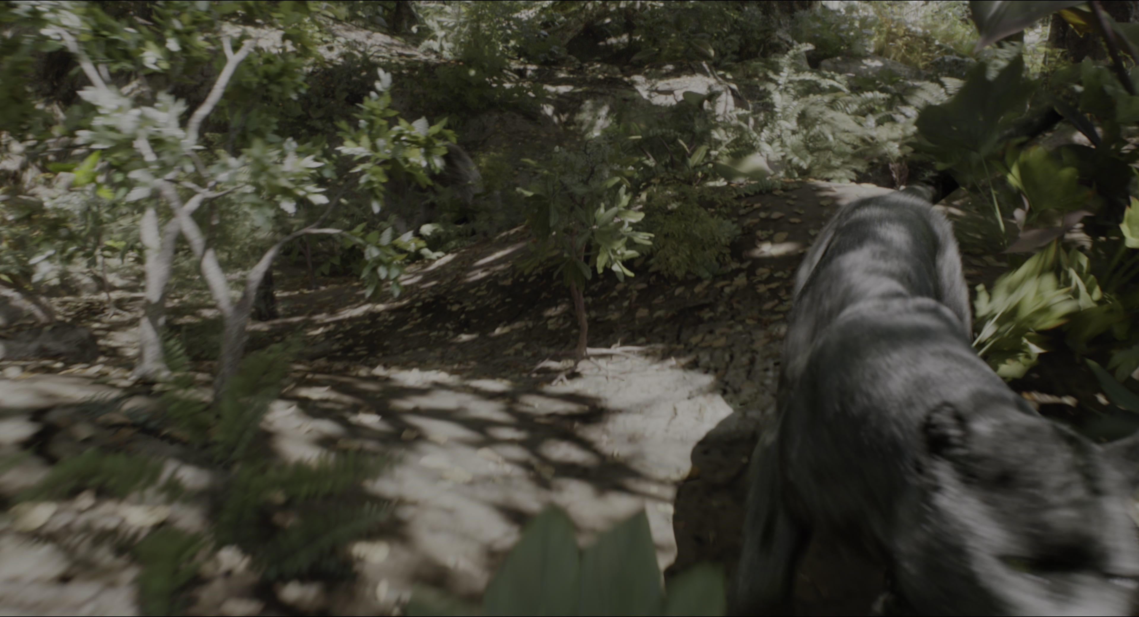 The Jungle Book (2016), wide, 1.85:1 — film still