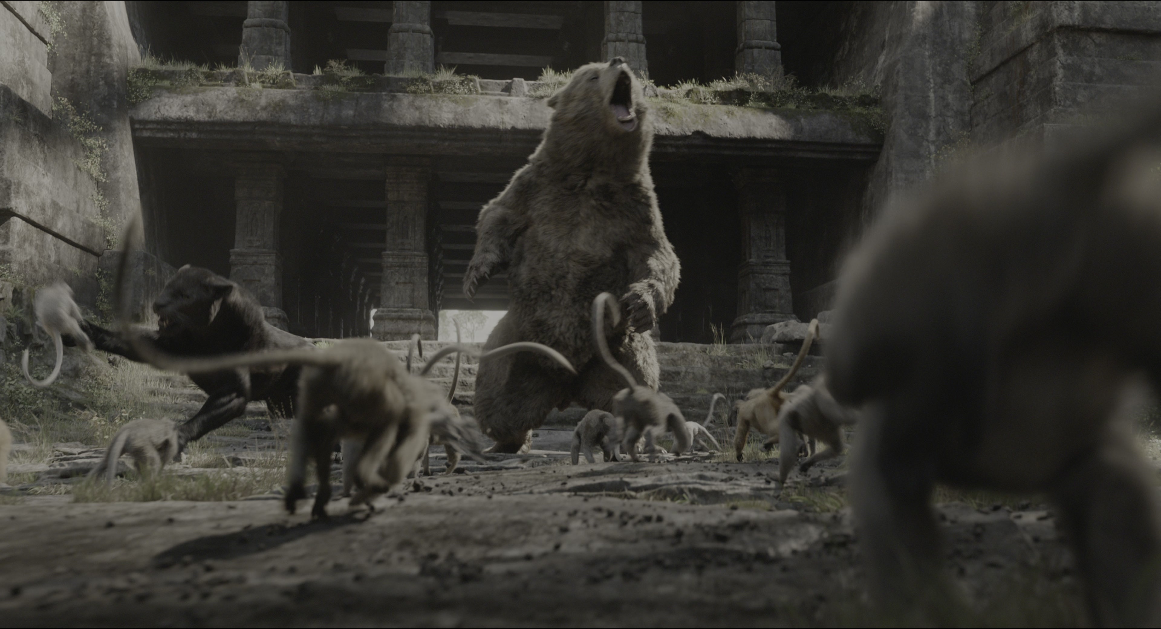 The Jungle Book (2016), wide, 1.85:1 — film still