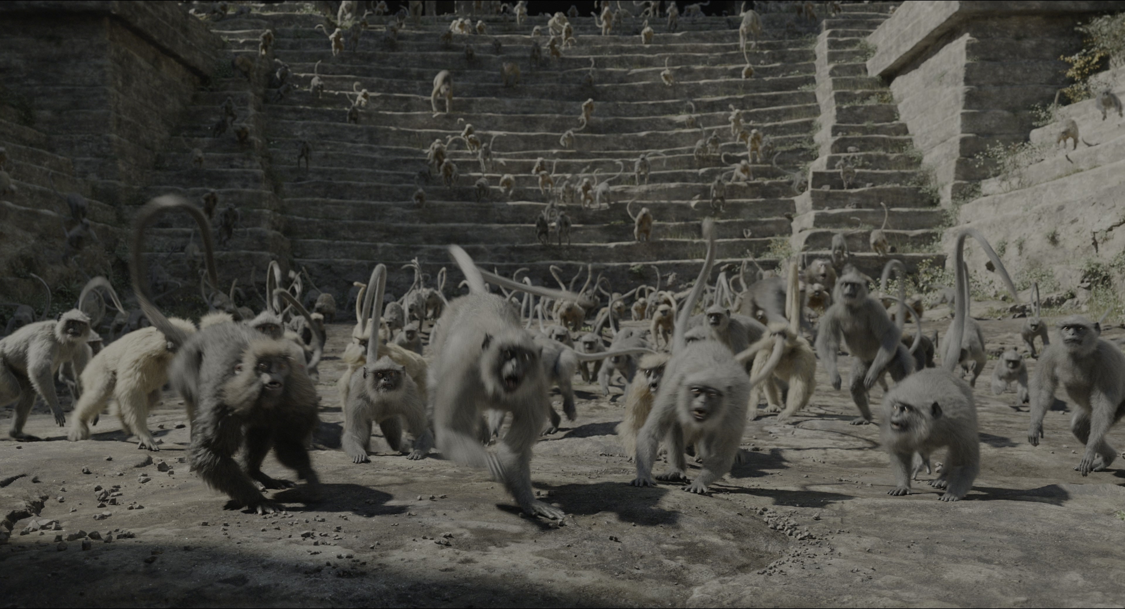 The Jungle Book (2016), wide, 1.85:1 — film still
