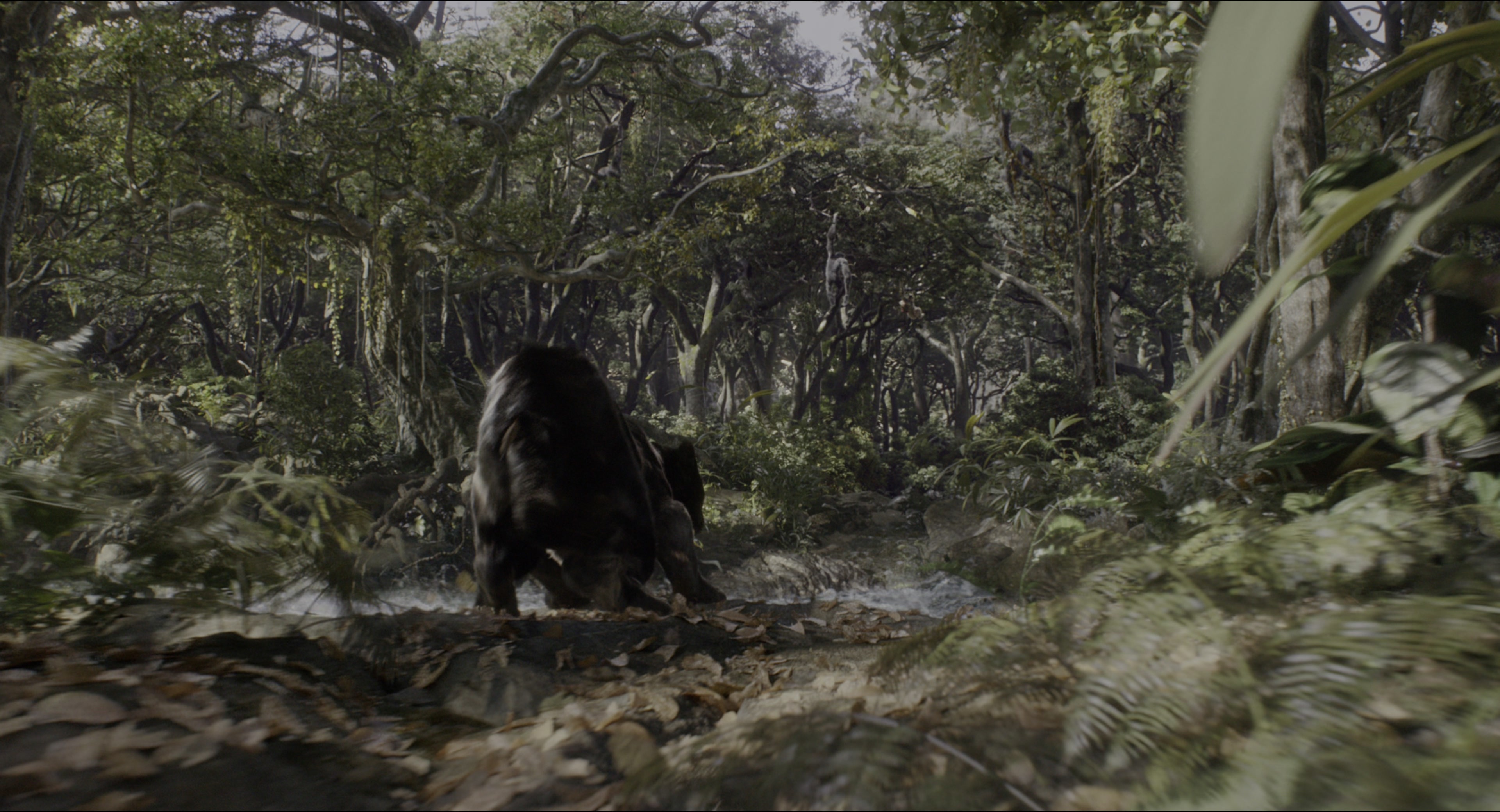 The Jungle Book (2016), wide, 1.85:1 — film still
