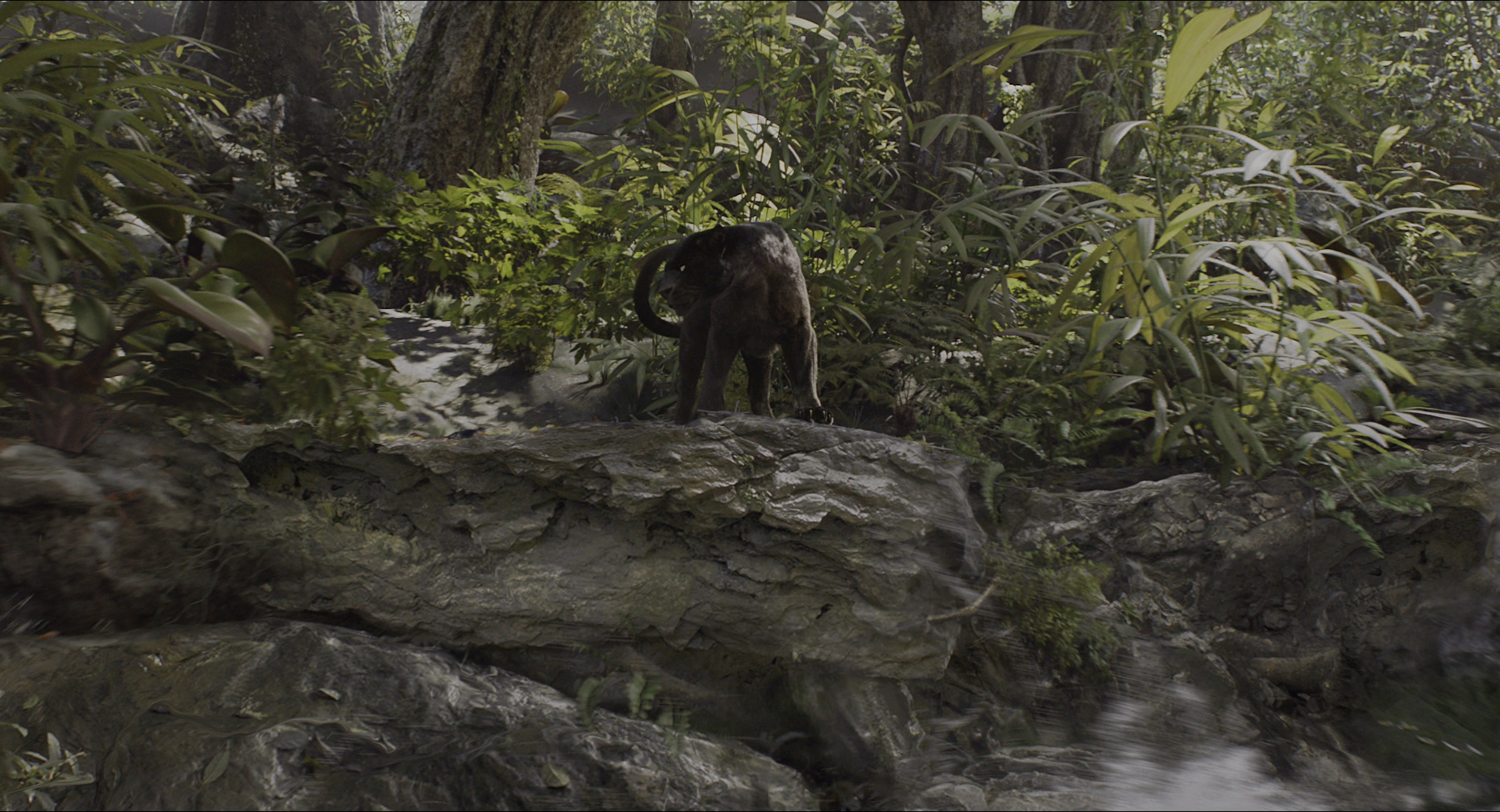 The Jungle Book (2016), wide, 1.85:1 — film still