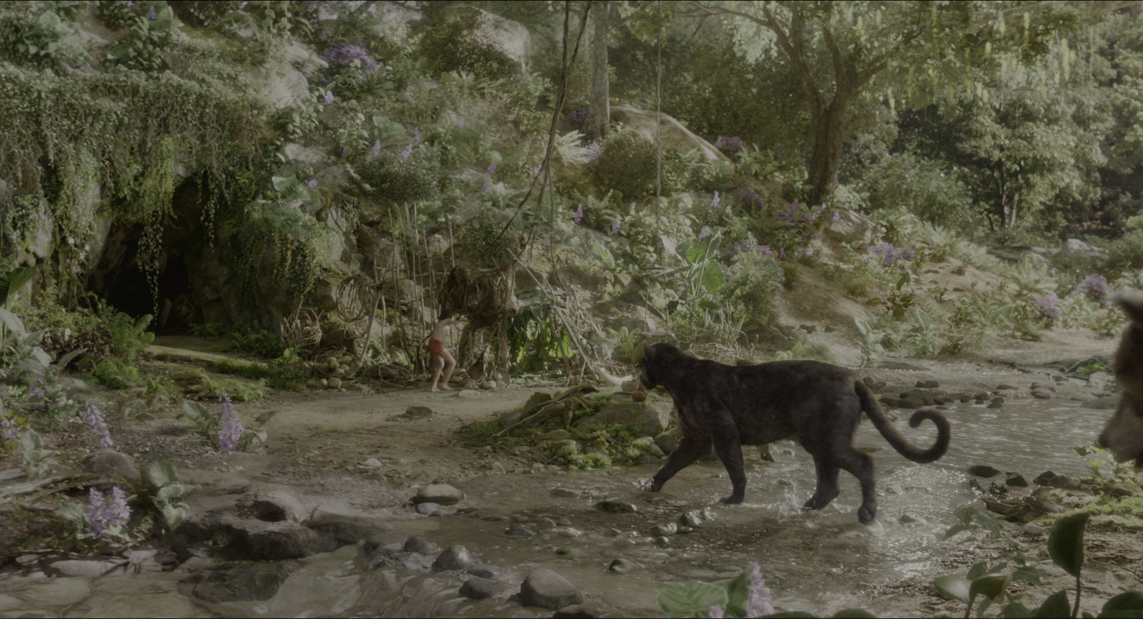 The Jungle Book (2016), wide, 1.85:1 — film still