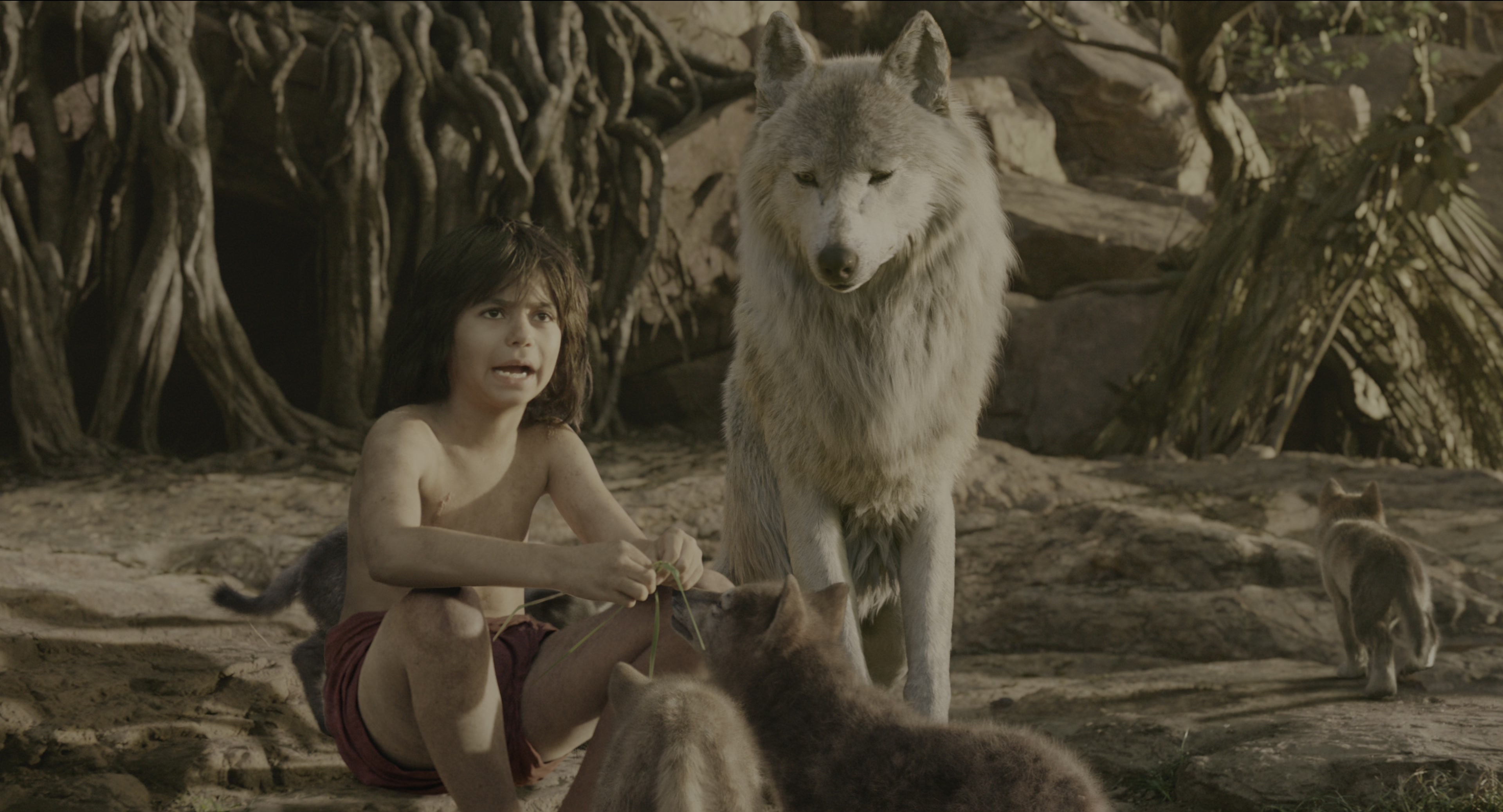 The Jungle Book (2016), wide, 1.85:1 — film still