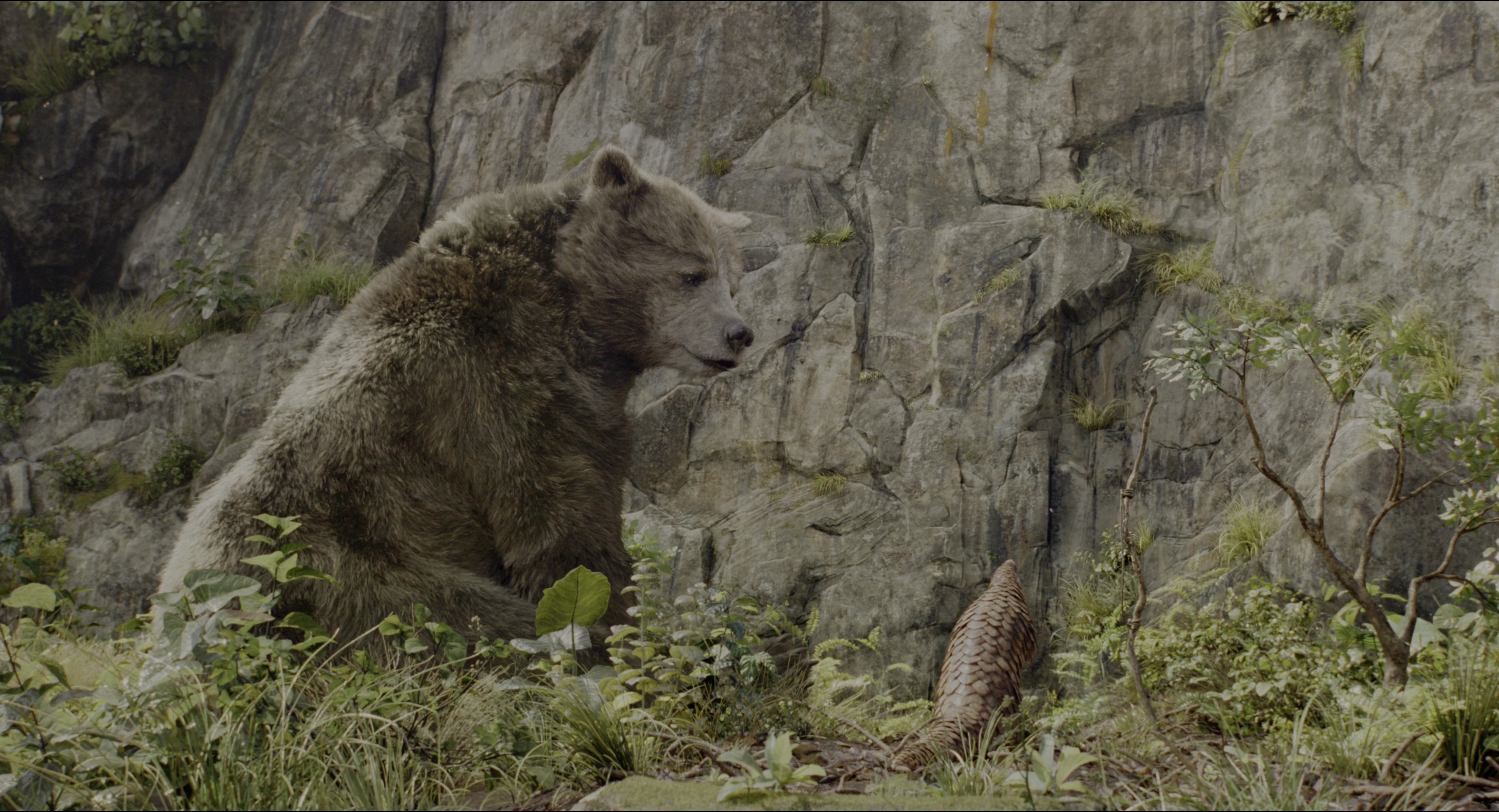 The Jungle Book (2016), wide, 1.85:1 — film still