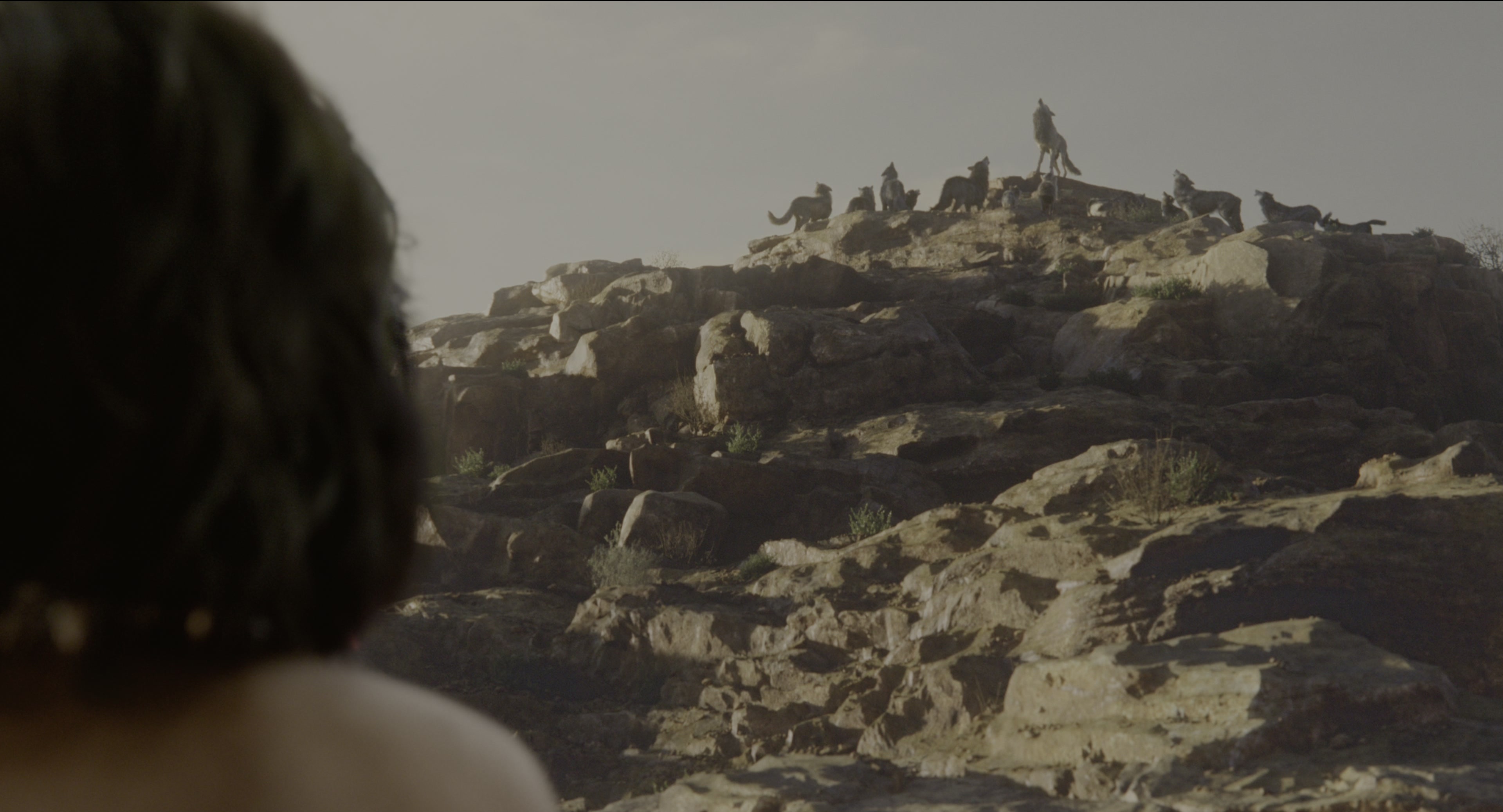 The Jungle Book (2016), wide, 1.85:1 — film still