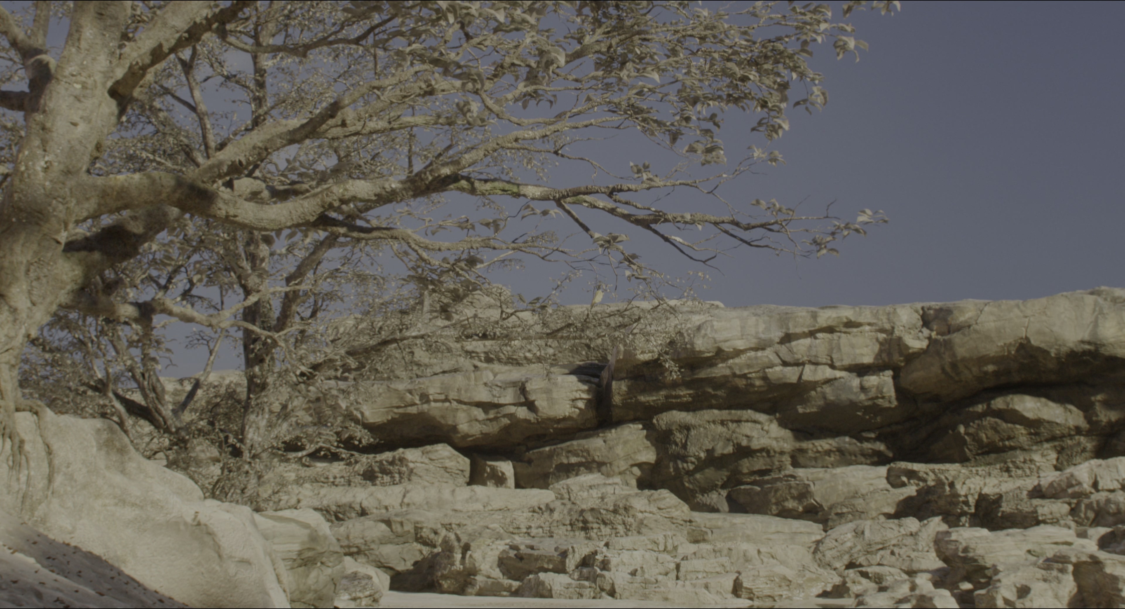 The Jungle Book (2016), wide, 1.85:1 — film still