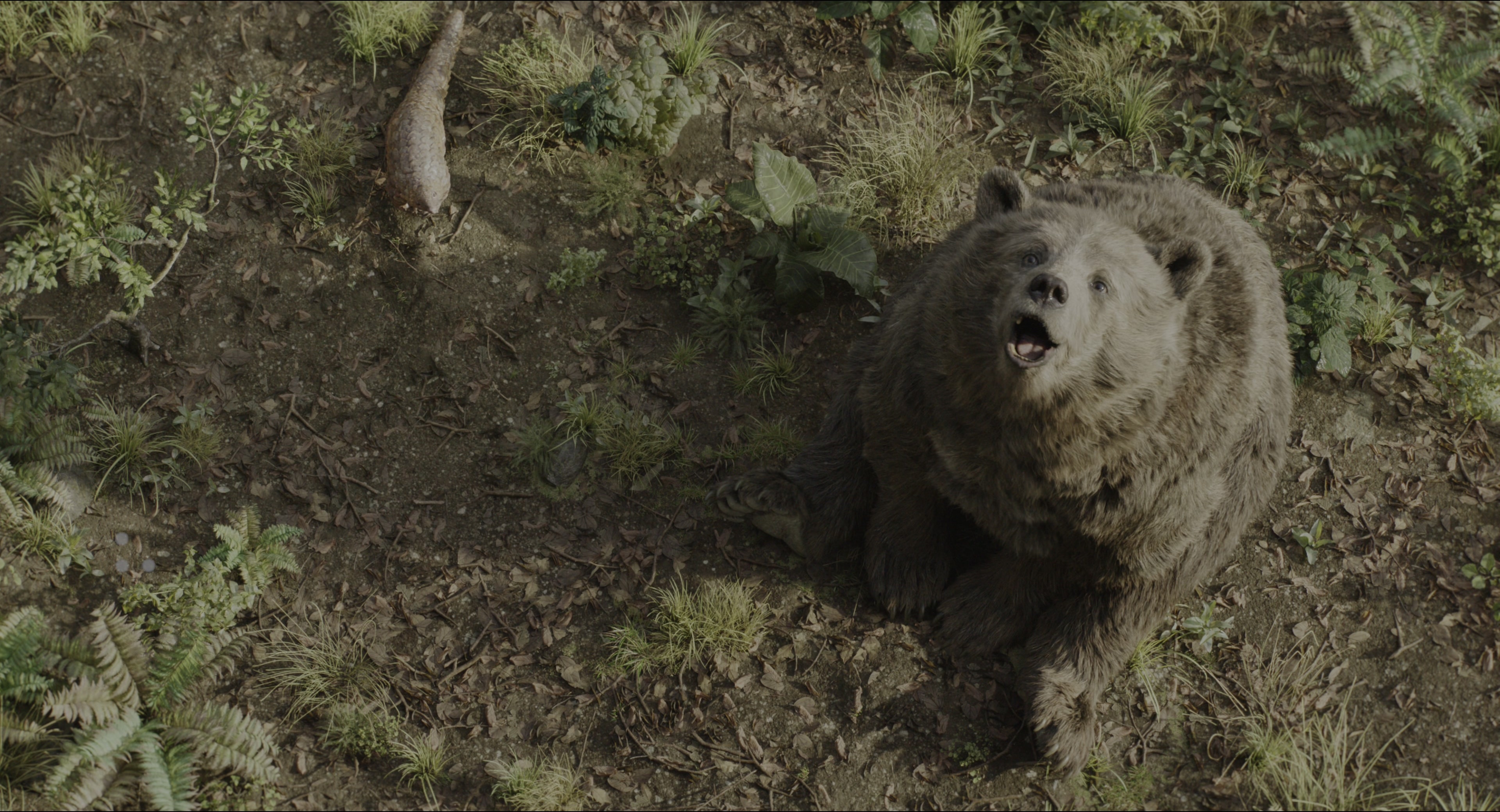 The Jungle Book (2016), wide, 1.85:1 — film still