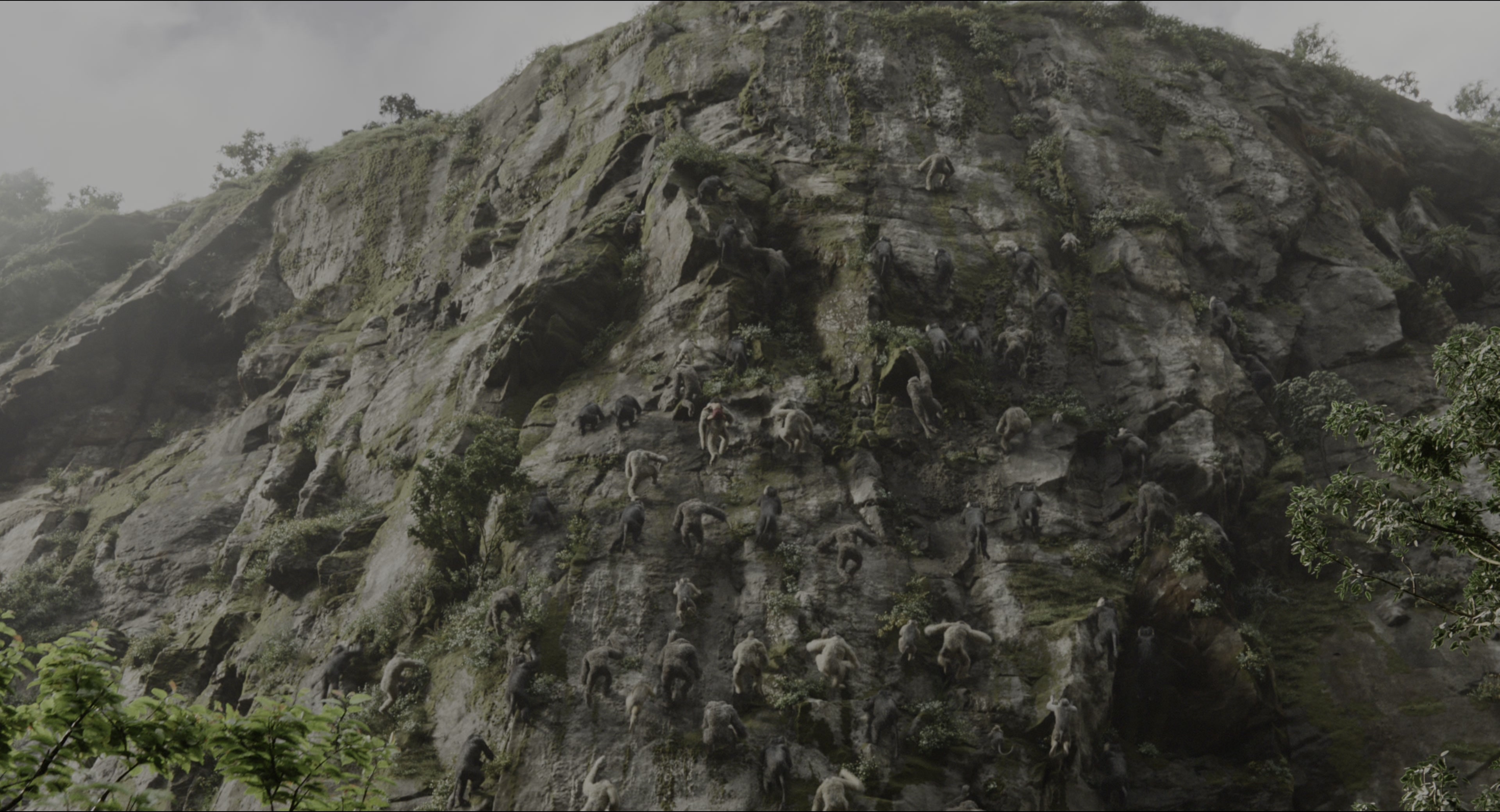 The Jungle Book (2016), wide, 1.85:1 — film still